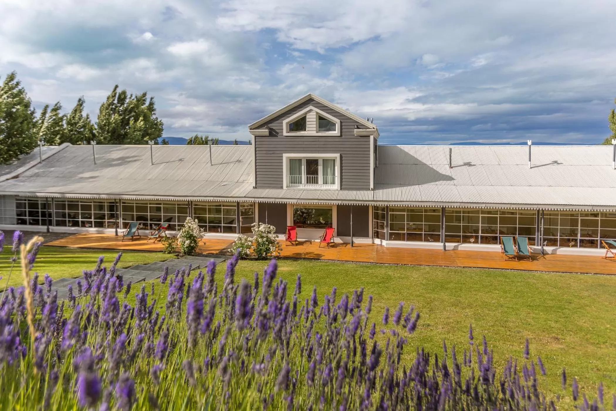 Garden in Los Ponchos Hotel