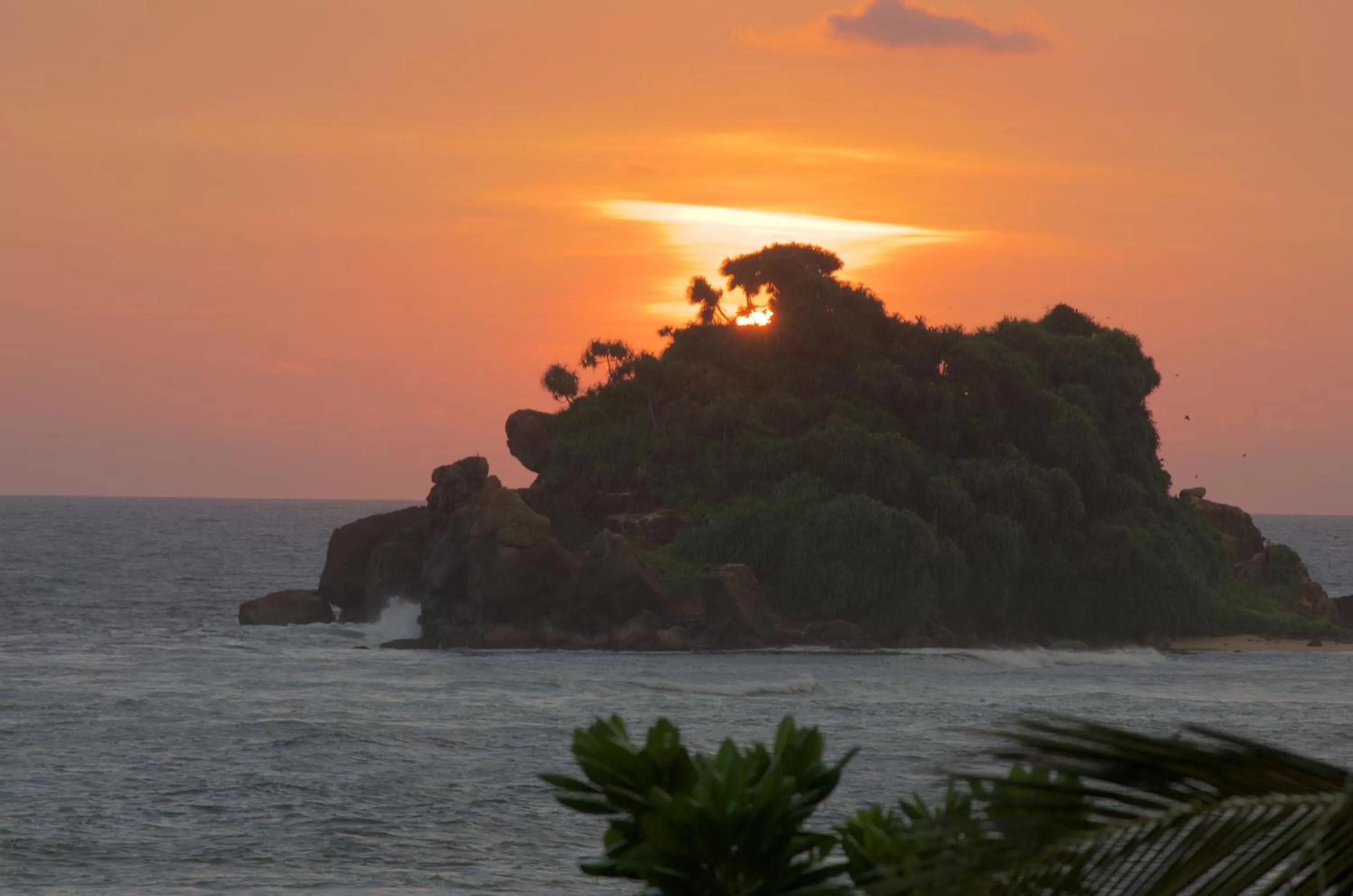 Sea view, Sunrise/Sunset in New Ocean Vibes