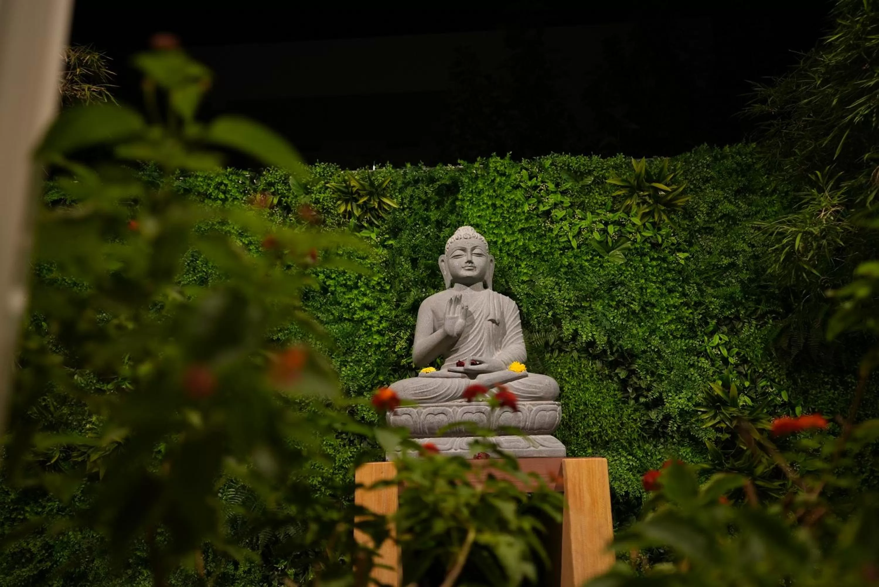 Night in Eden Park Boutique Hotel