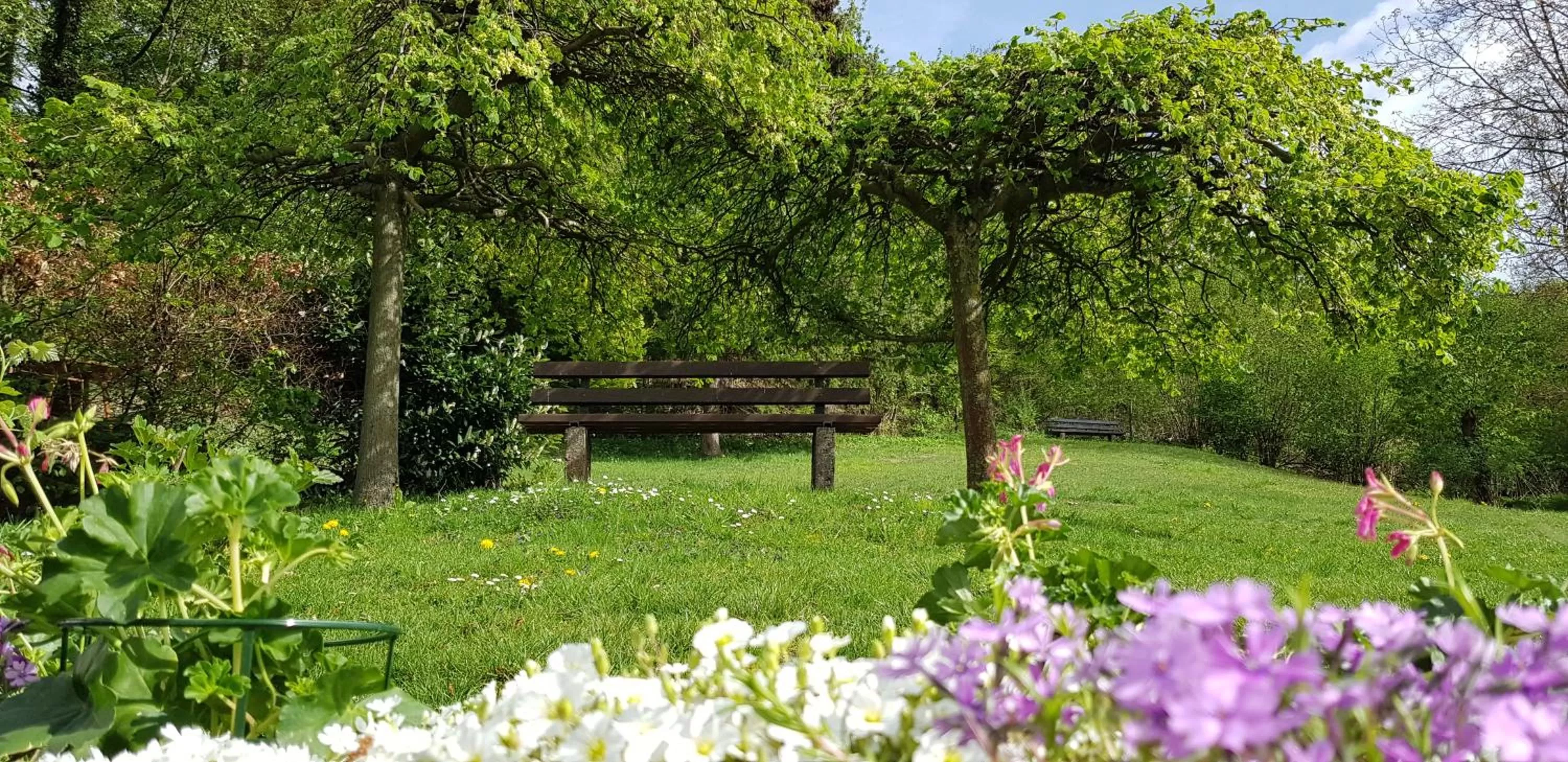 Garden in Berghof Hotel