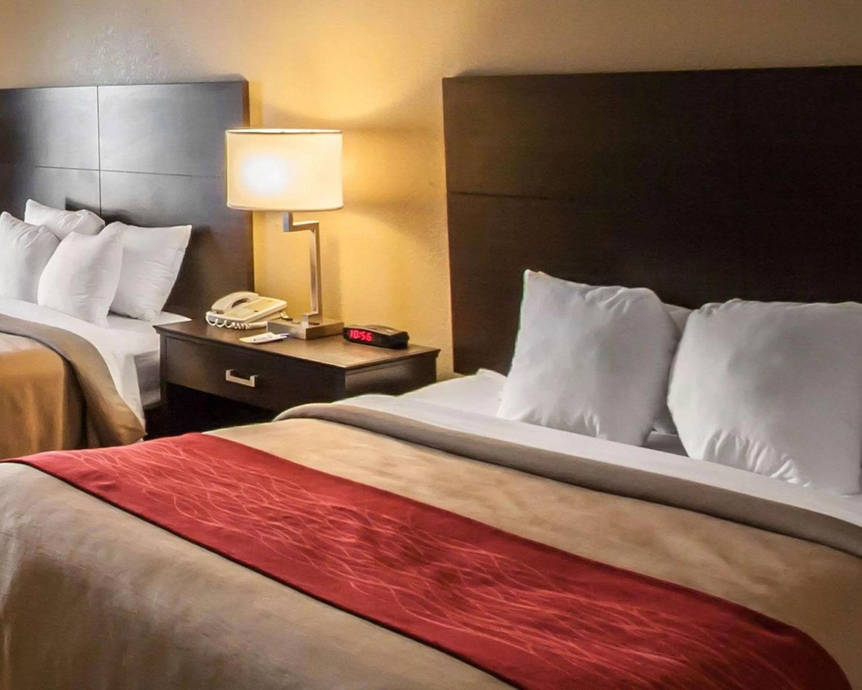 Photo of the whole room, Bed in Quality Inn Hayti North