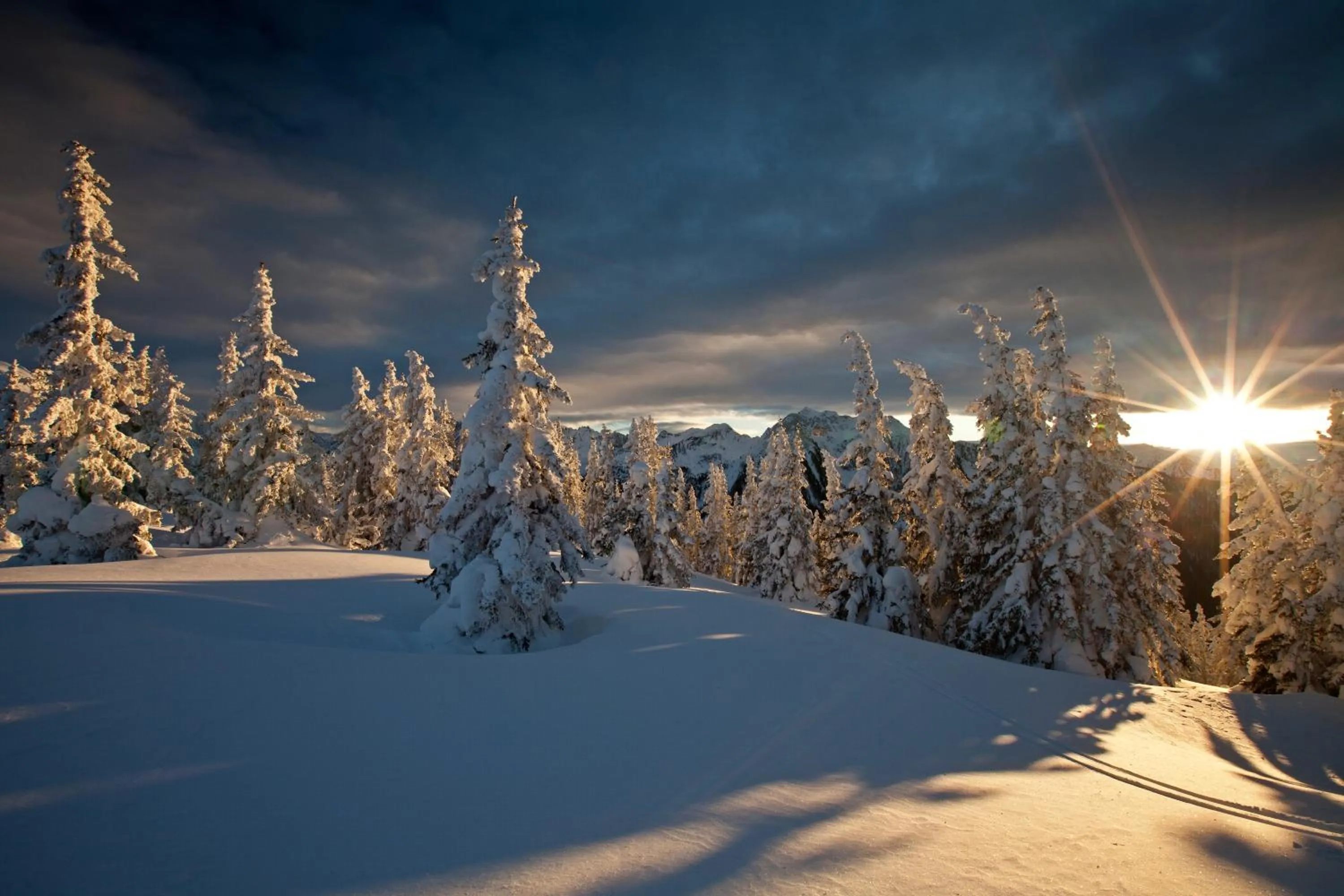 Natural landscape in Hotel Pichlmayrgut