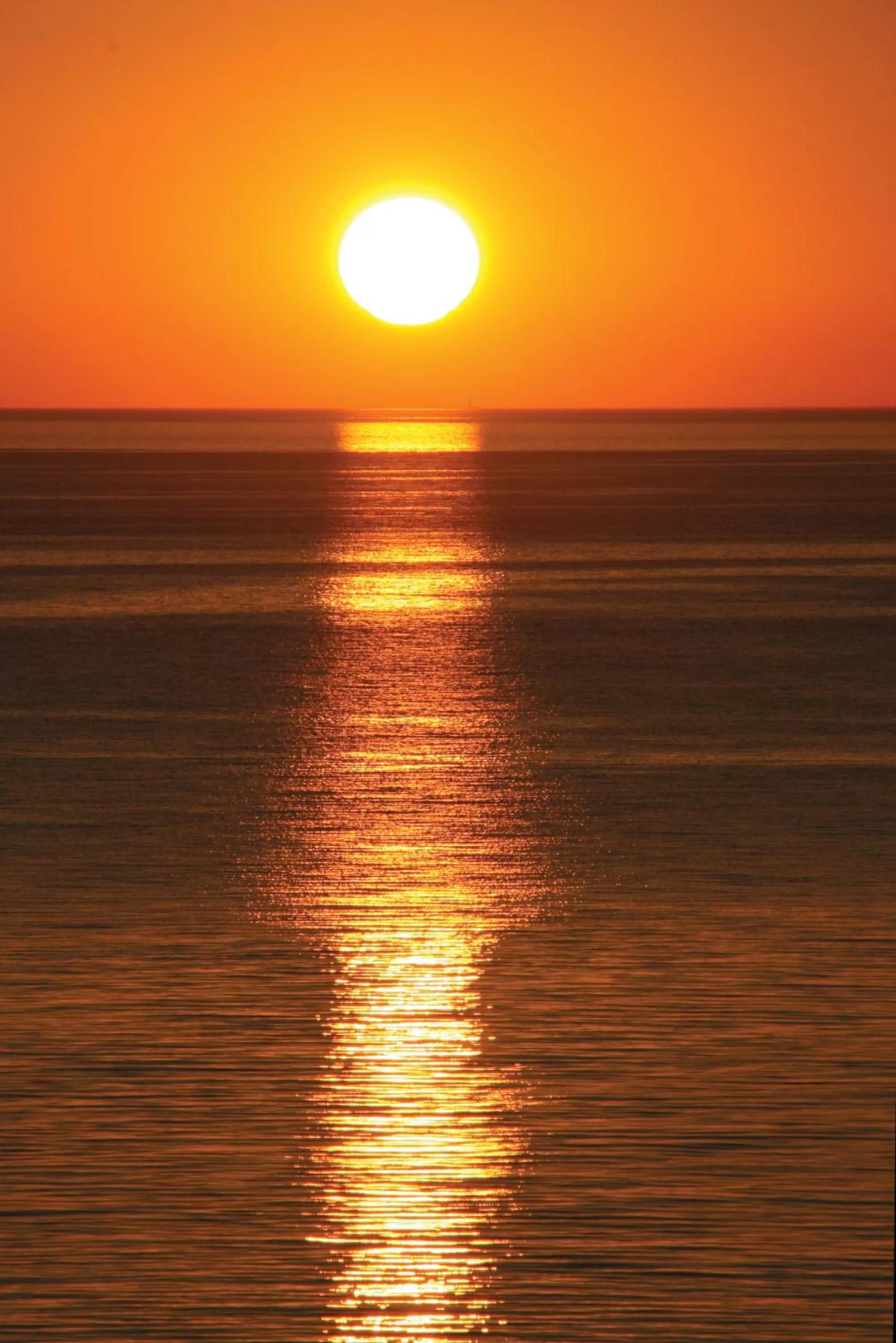 Area and facilities, Sunrise/Sunset in Hotel Ricadi