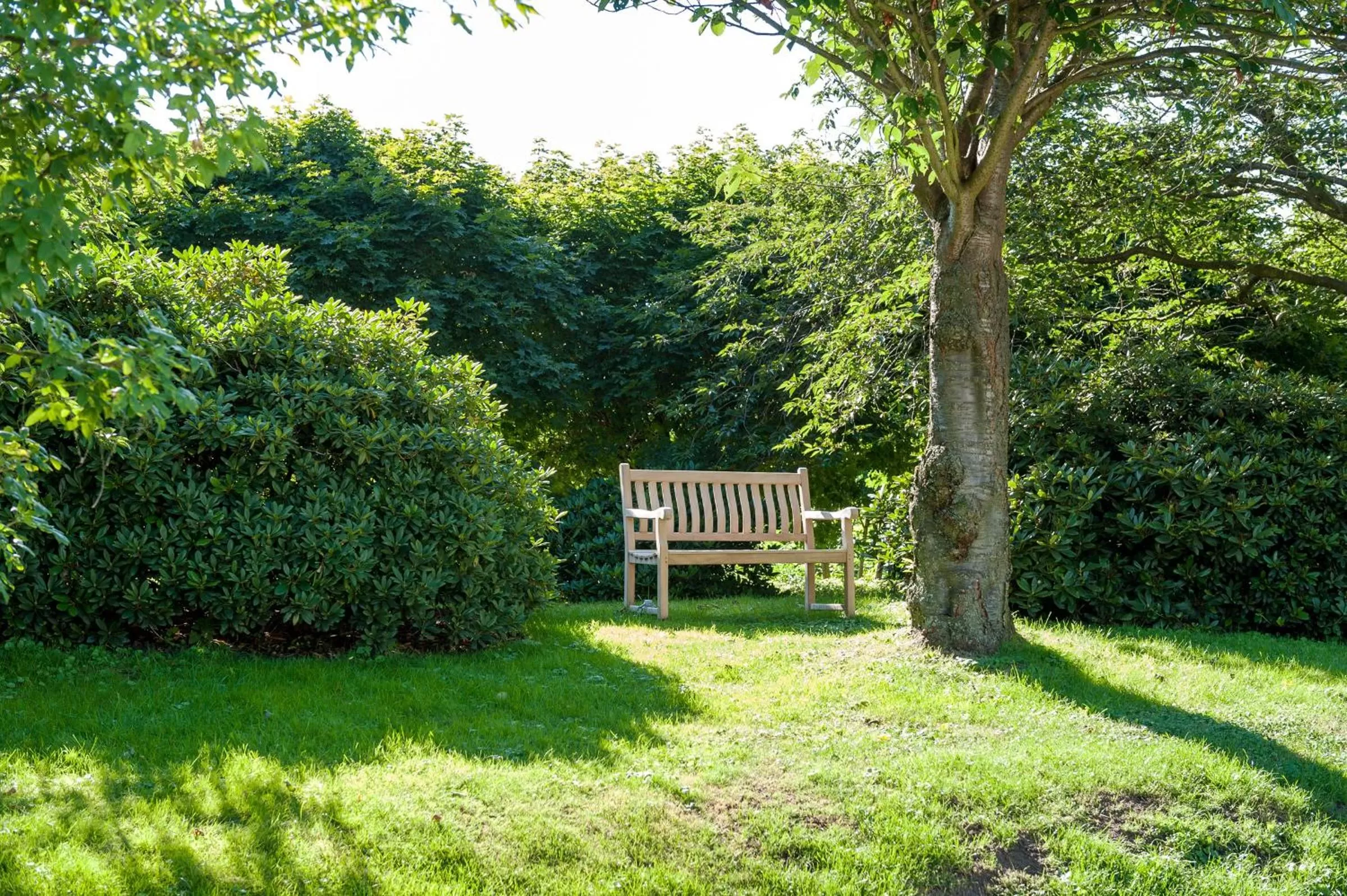 Garden in Hotel zum Kuhhirten