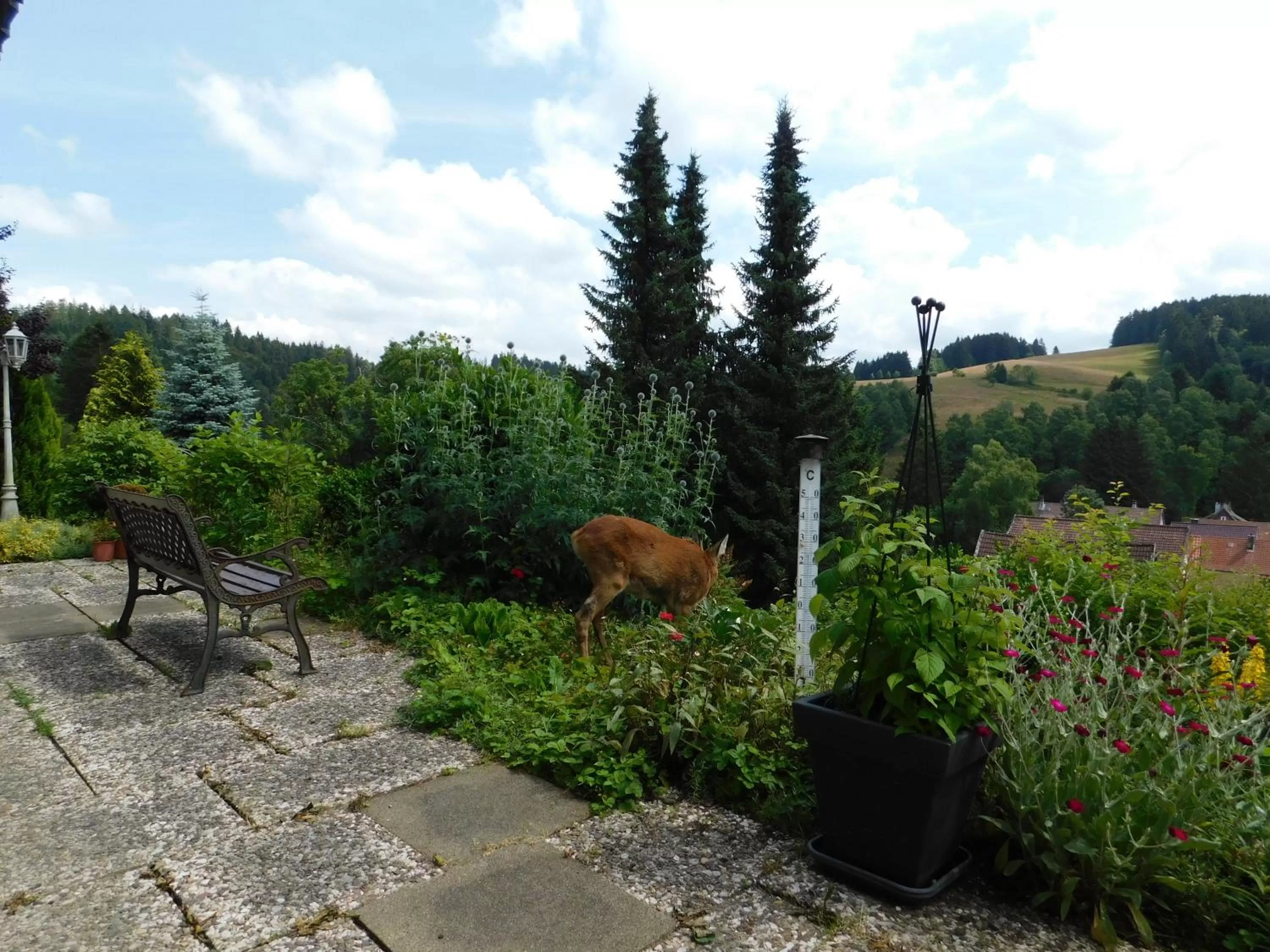 City view in Pension Haus Petra