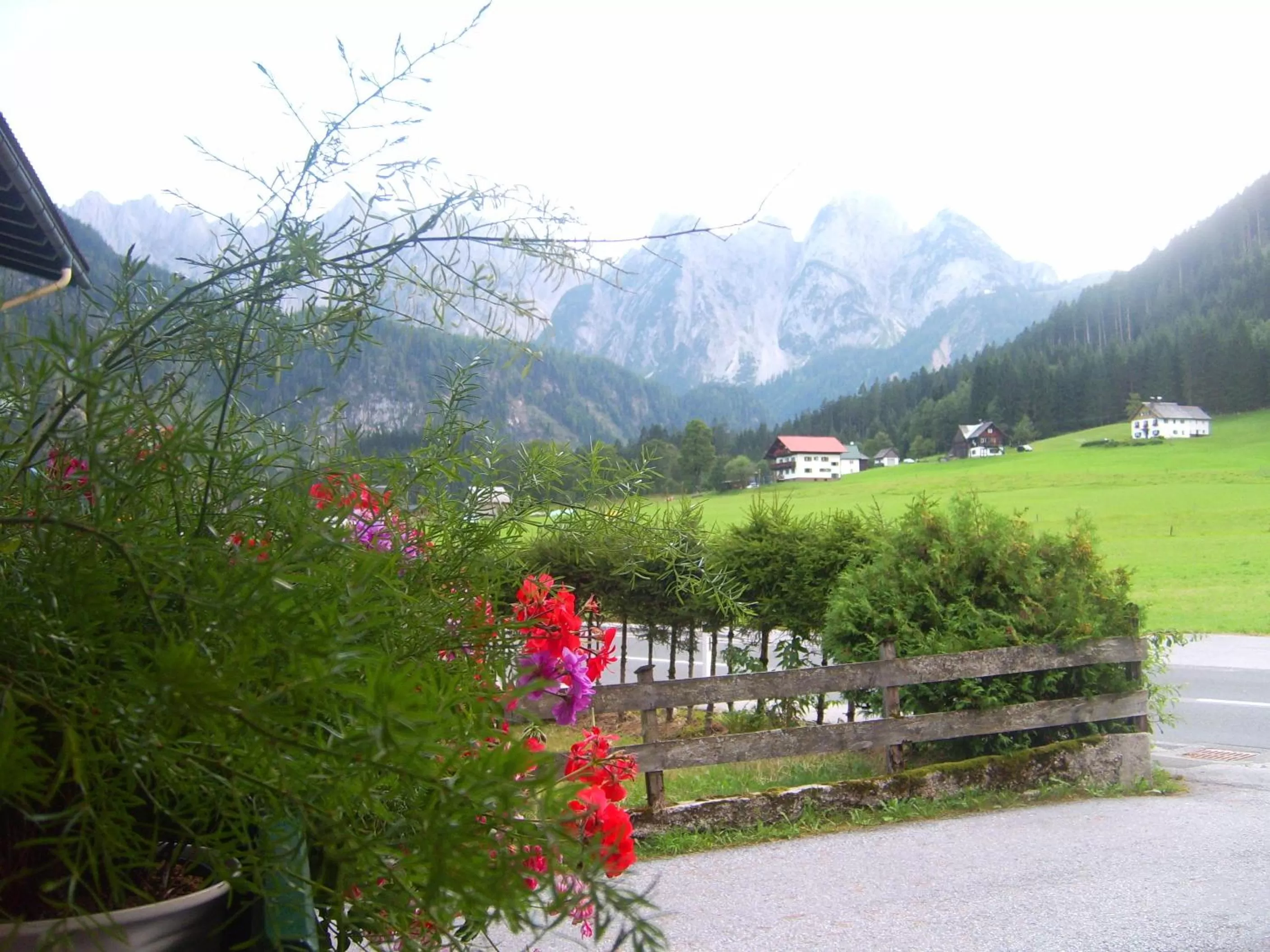 Spring in Privatpension Gosaukammblick