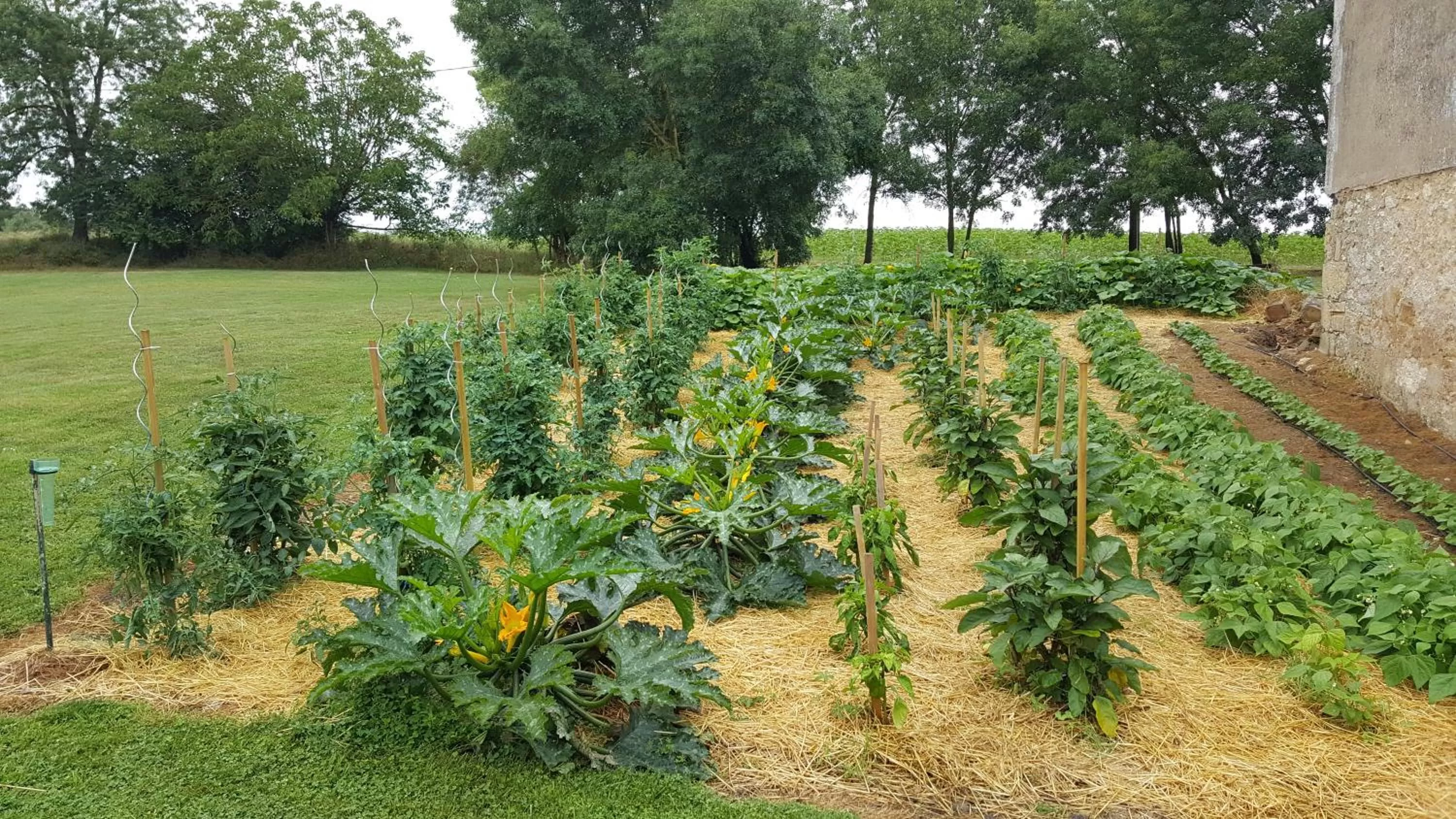 Other in Maison d'hôtes de Charme Les Bruhasses