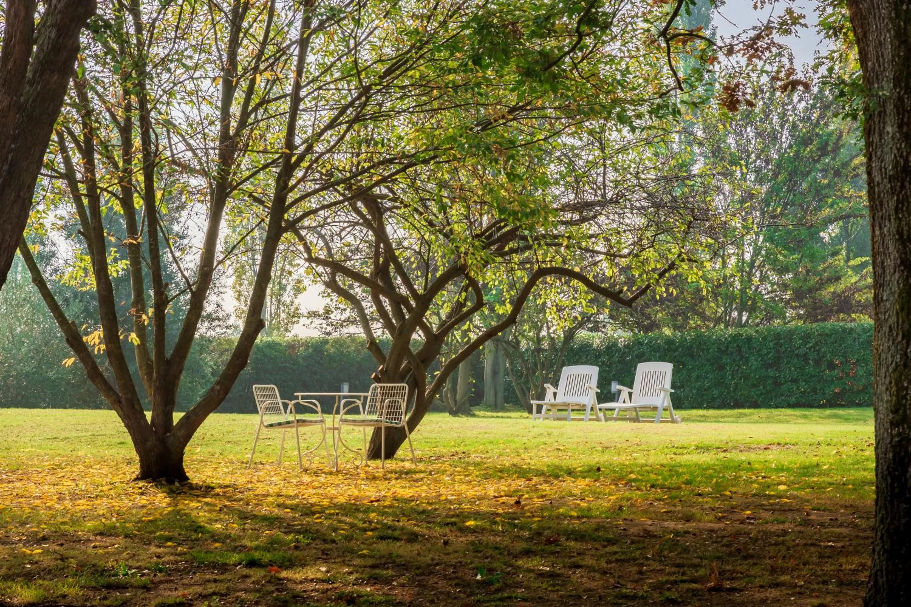 Garden in BolognaRoomscom - Ca' Palazzo