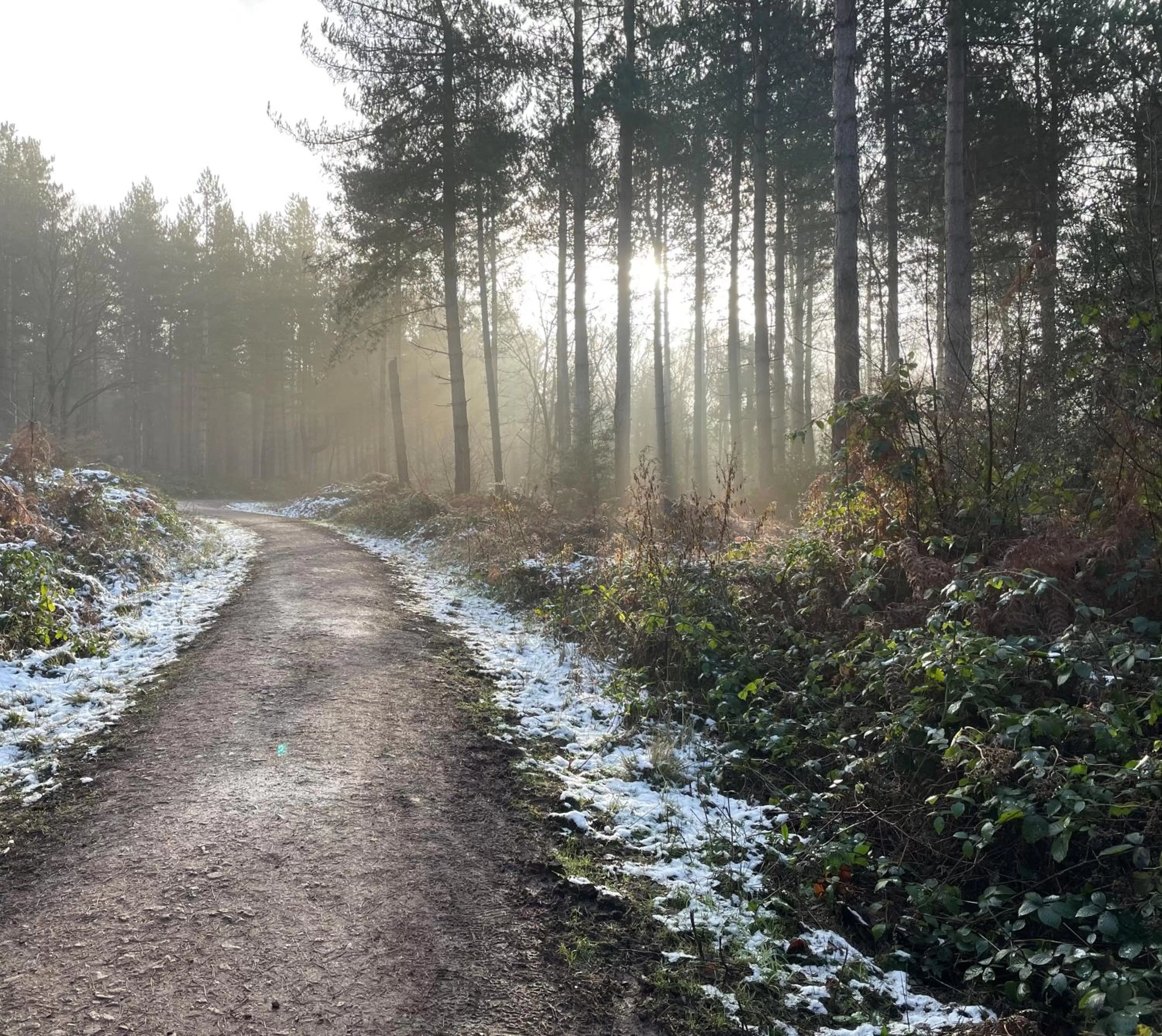 Neighbourhood in Harpur's of Melbourne