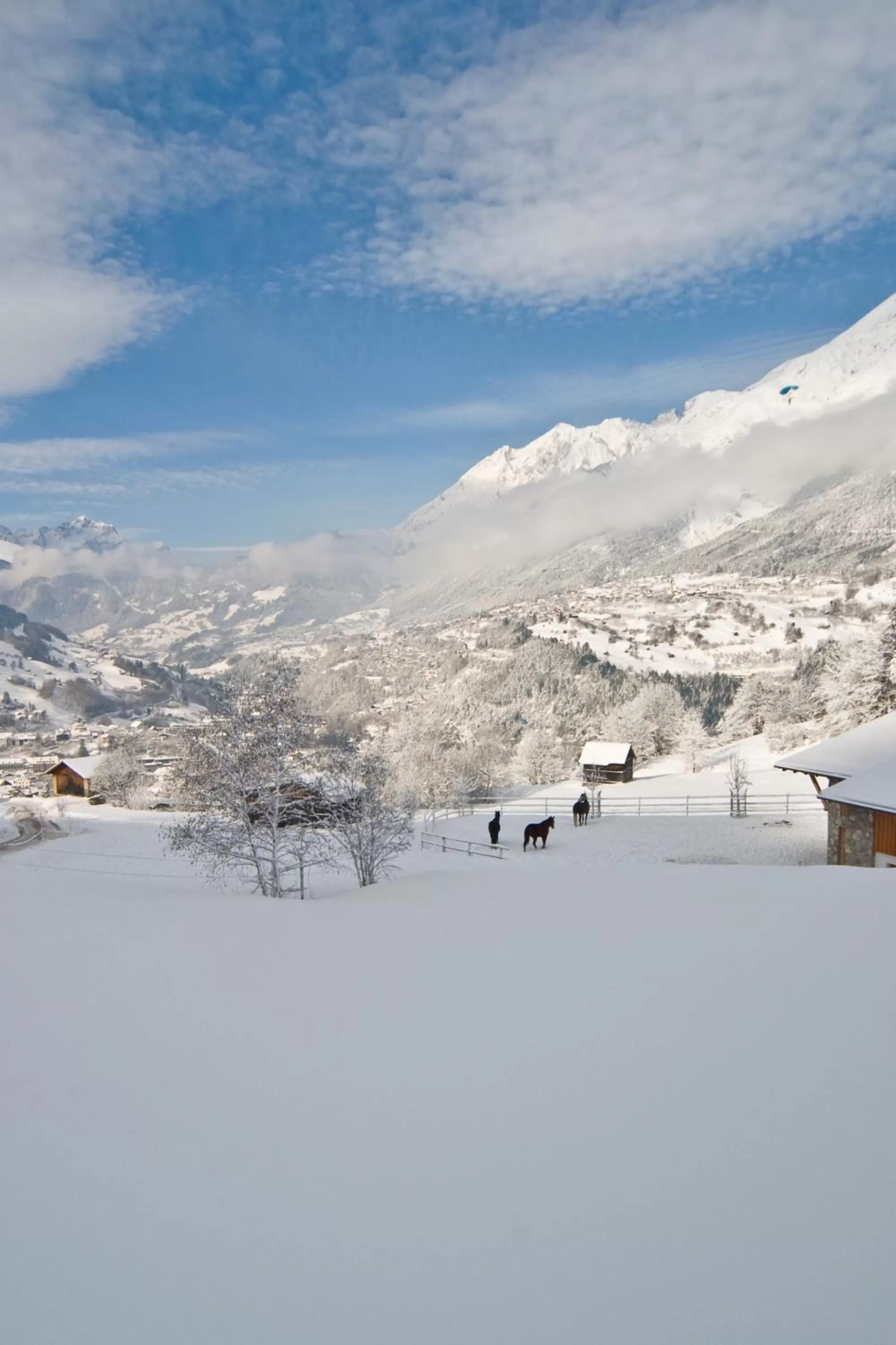 Natural landscape in Huber Hotel Tramserhof