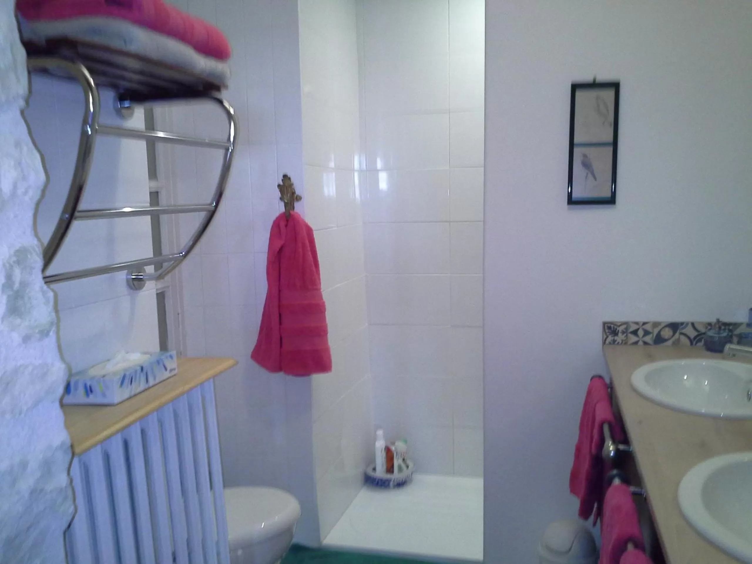 Shower in Le Logis De Ruelle