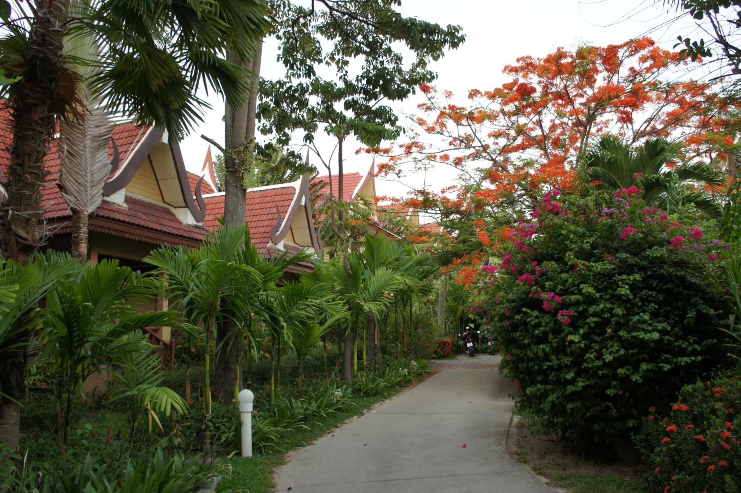 Area and facilities in Palm Village