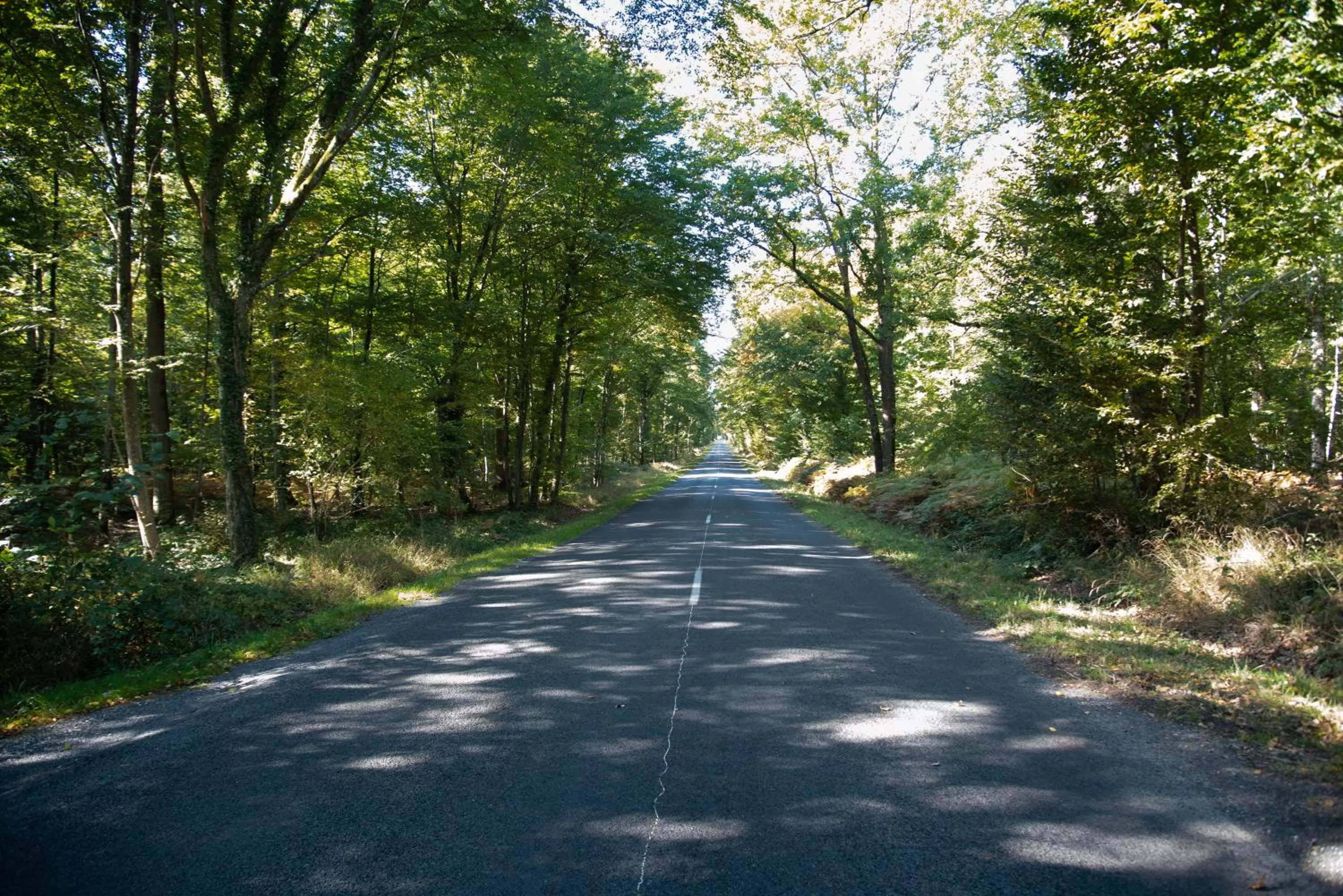 La plaine de l'Angelus