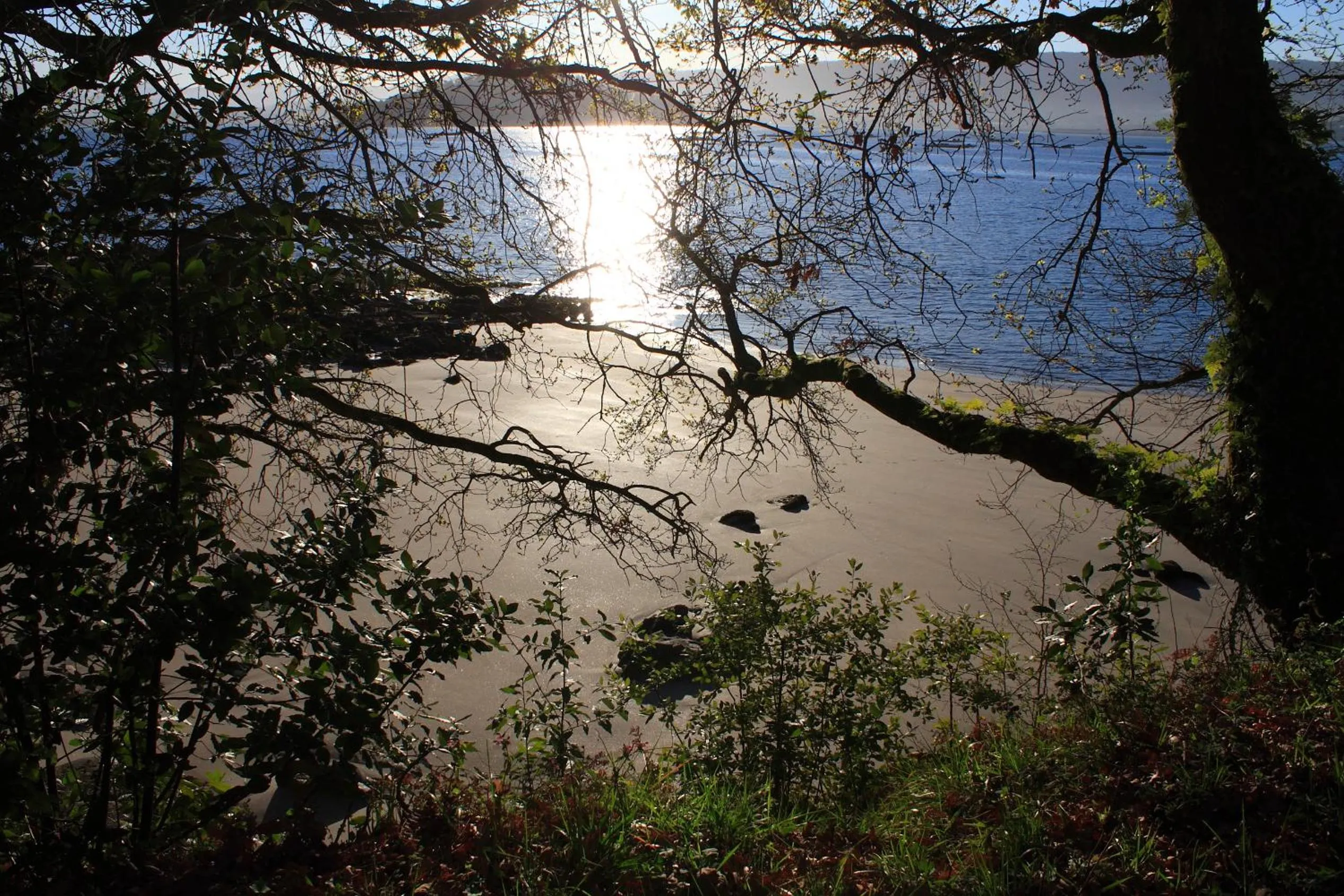 Beach in Villa Covelo