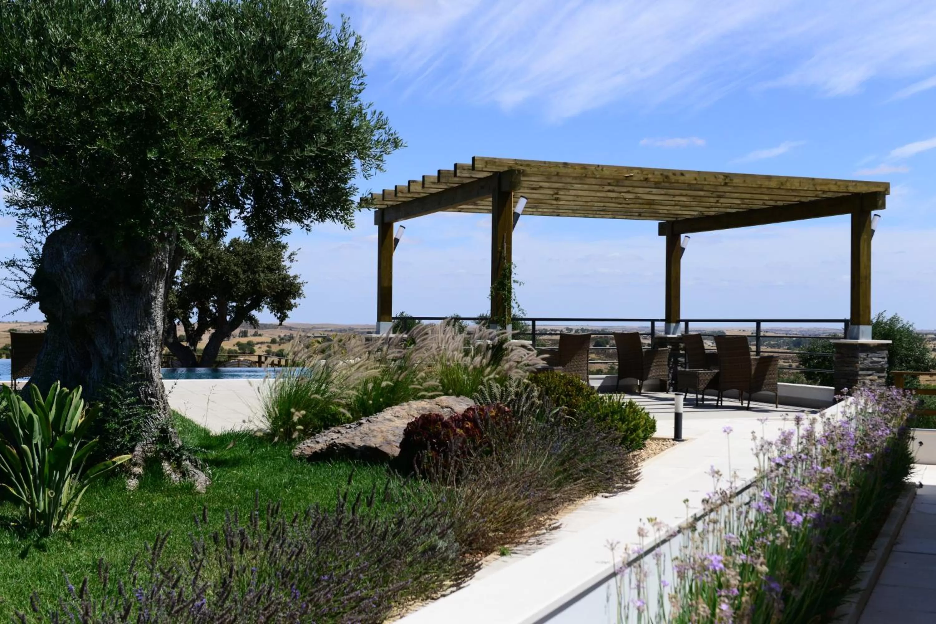 Natural landscape in Vistas - Herdade do Zambujal