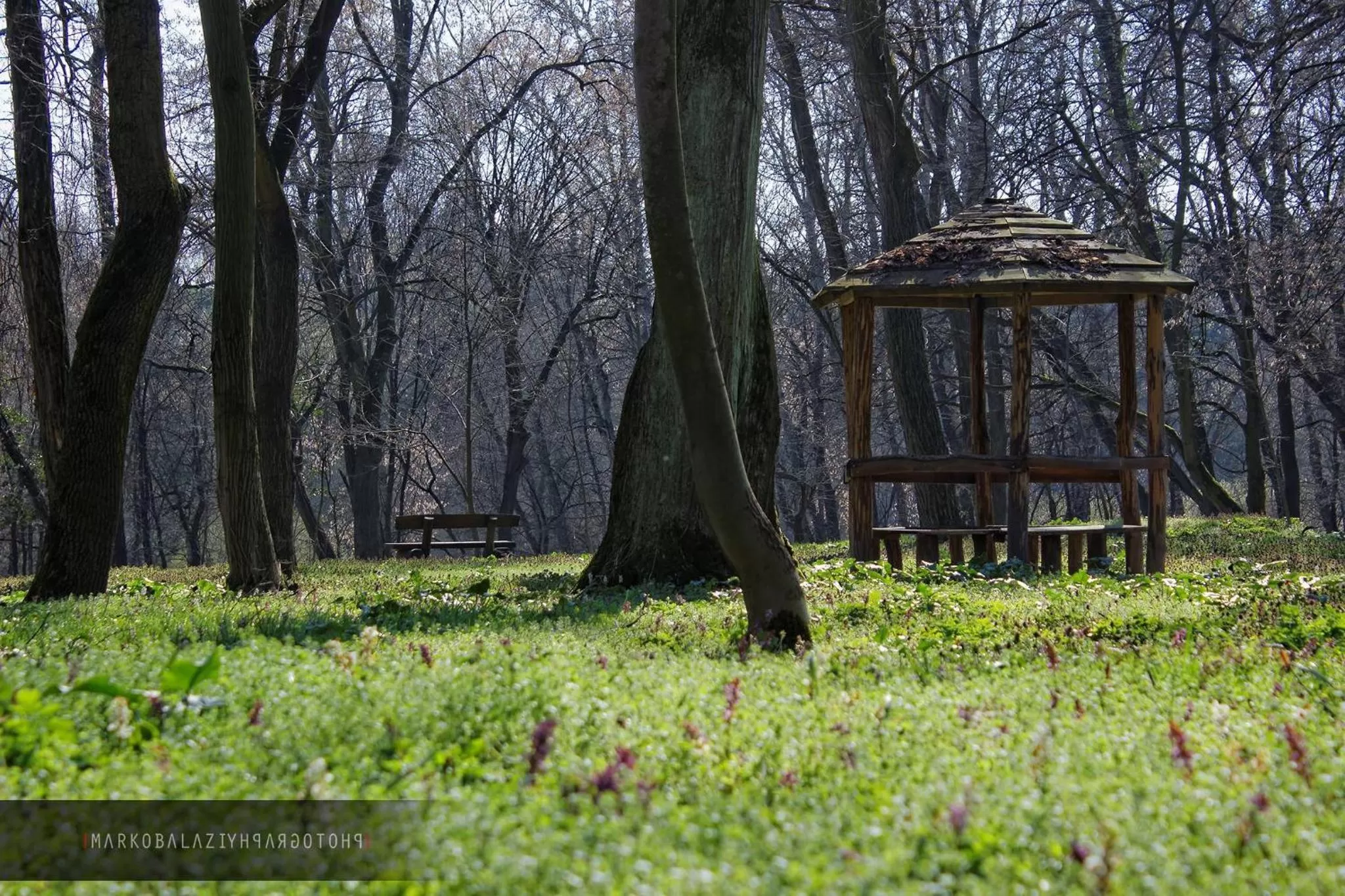 Other in Villa Martini - apartments & rooms