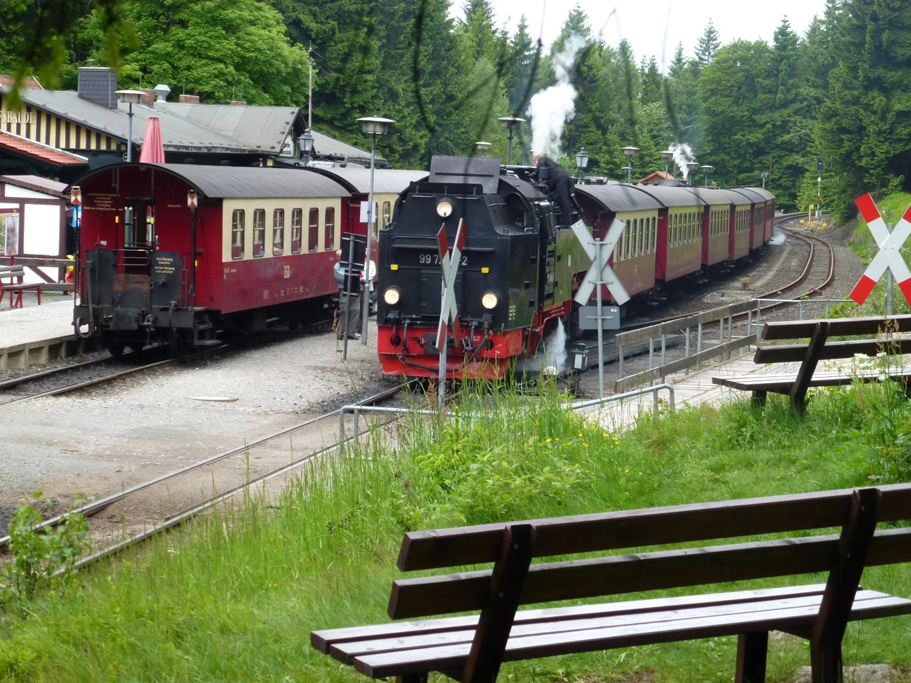 Activities in Hotel Pension Gelpkes Mühle