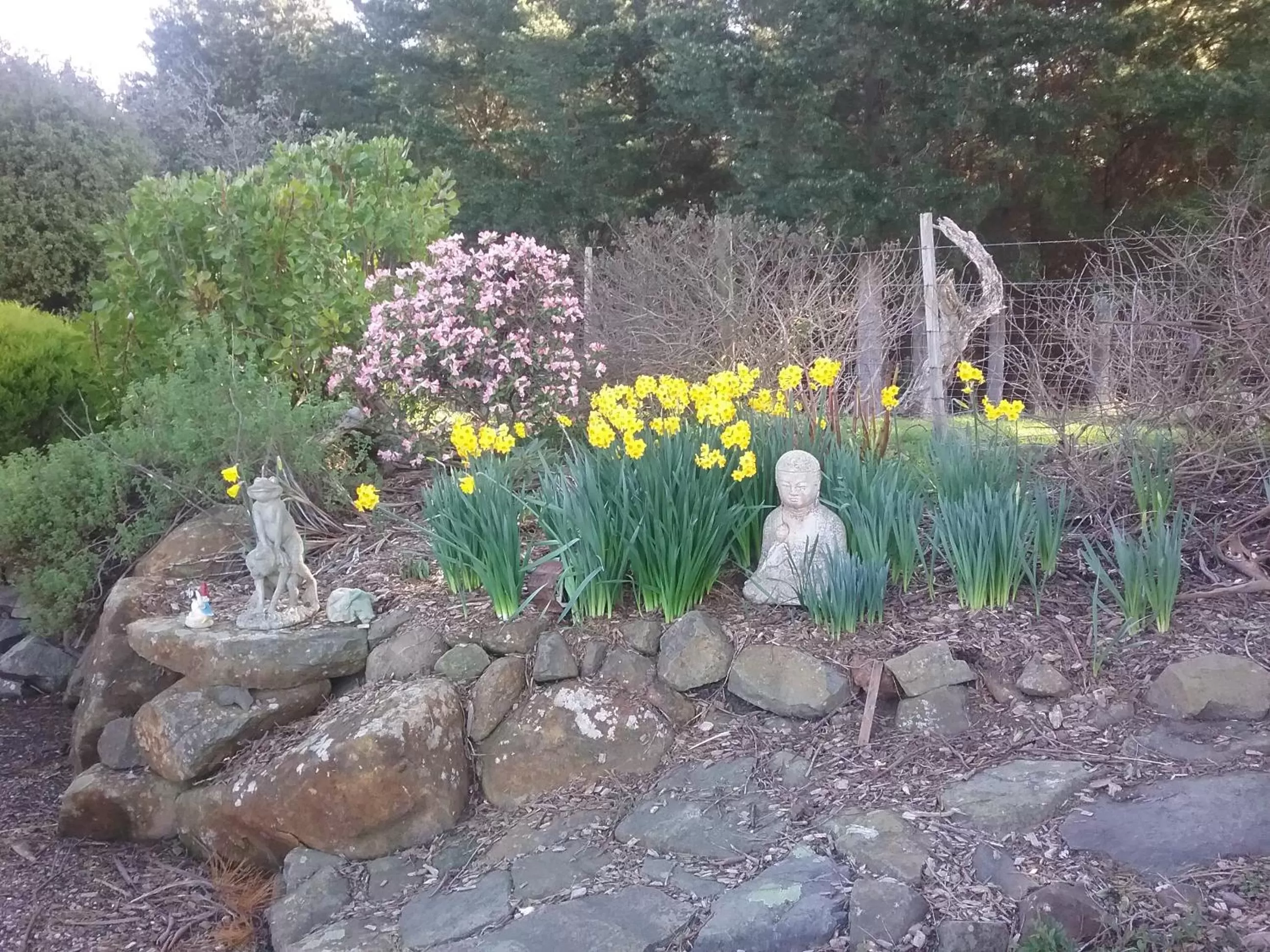 Sherwood View Accommodation