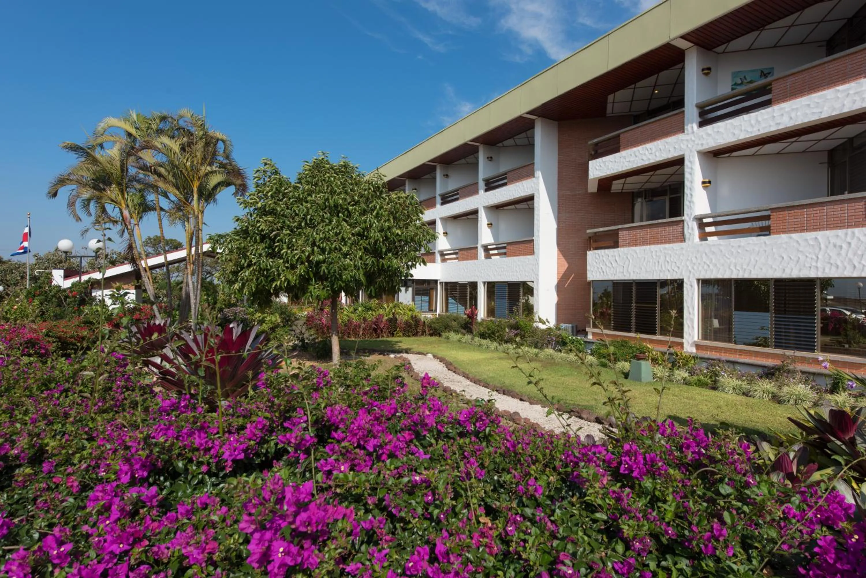 Garden view in Hotel Bougainvillea San José