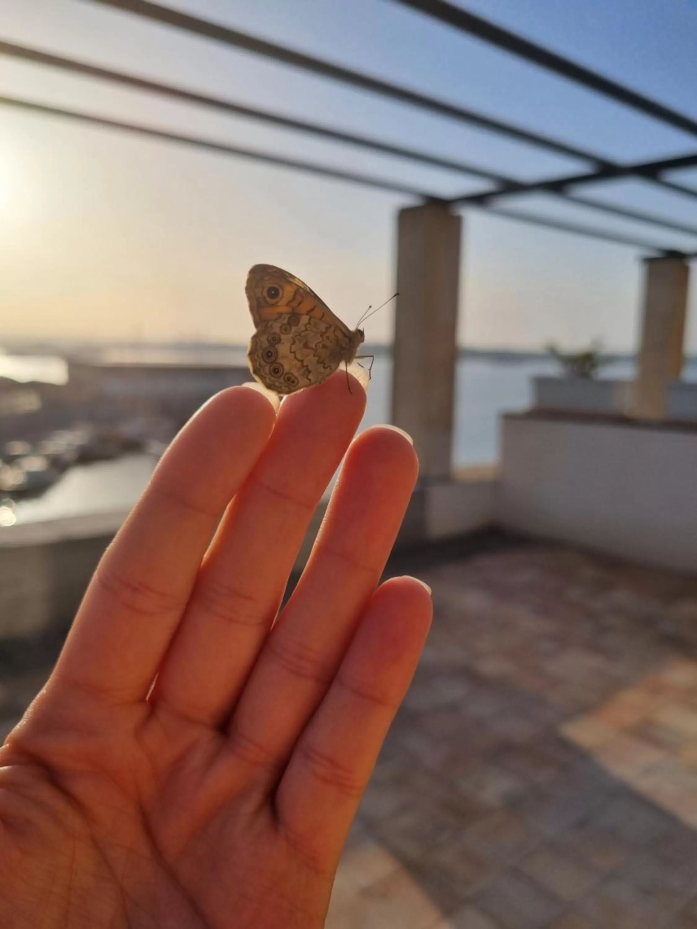Villa Sul Molo tra Siracusa e Catania