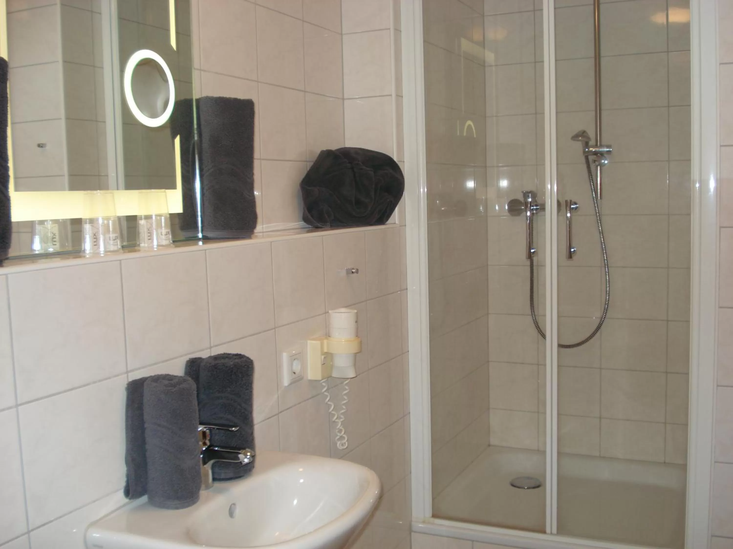 Decorative detail, Bathroom in Hotel Restaurant Fritz