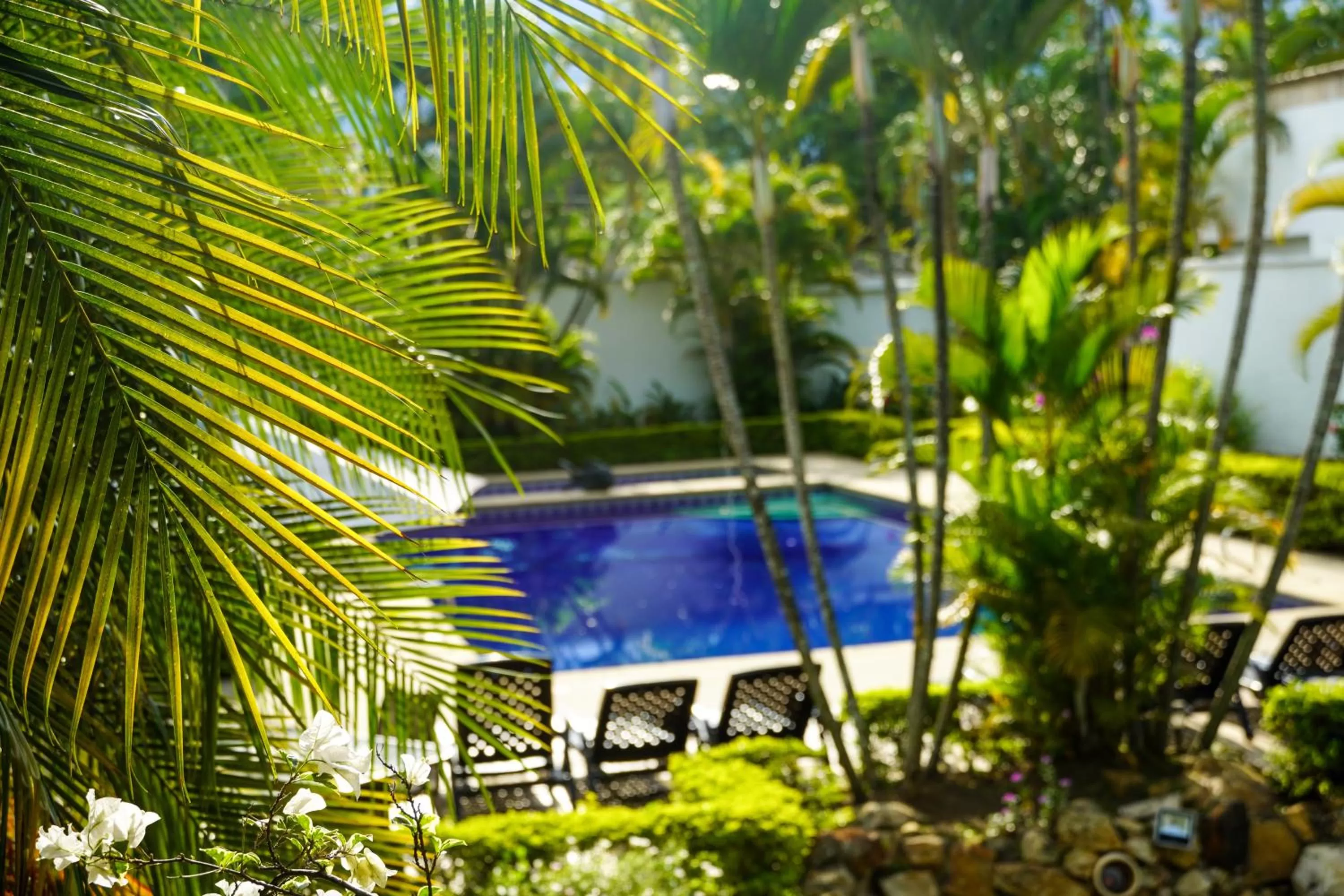 Pool View in Hotel Boutique Villa Casuarinas