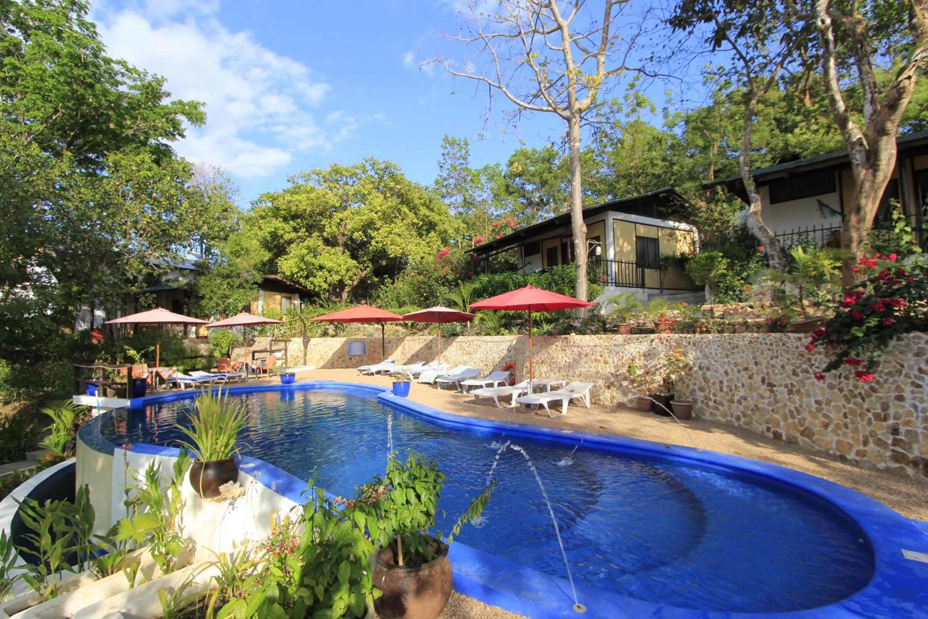 Swimming pool in Discovery Island Resort