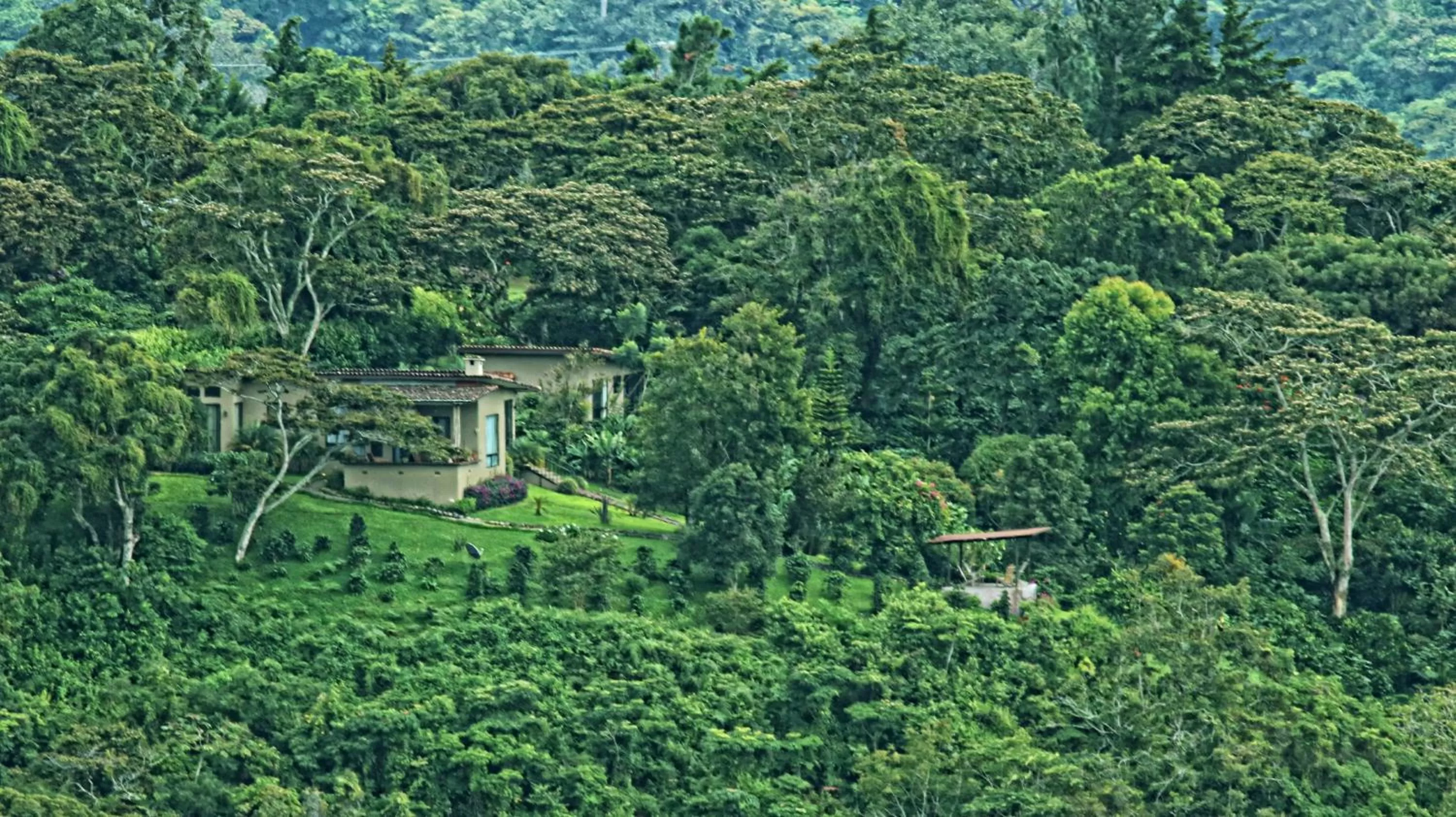Bird's eye view, Bird's-eye View in The Guest Suites at Manana Madera