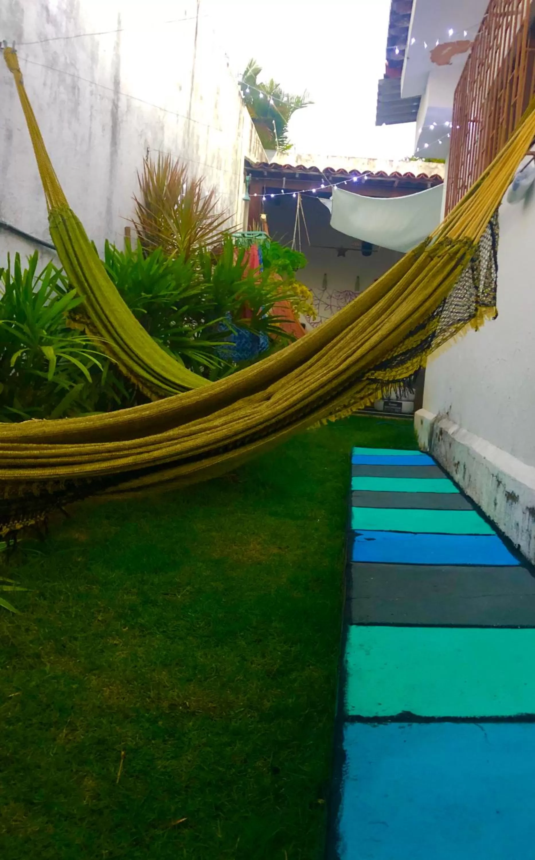 Spring, Garden in Hostel Das Canárias