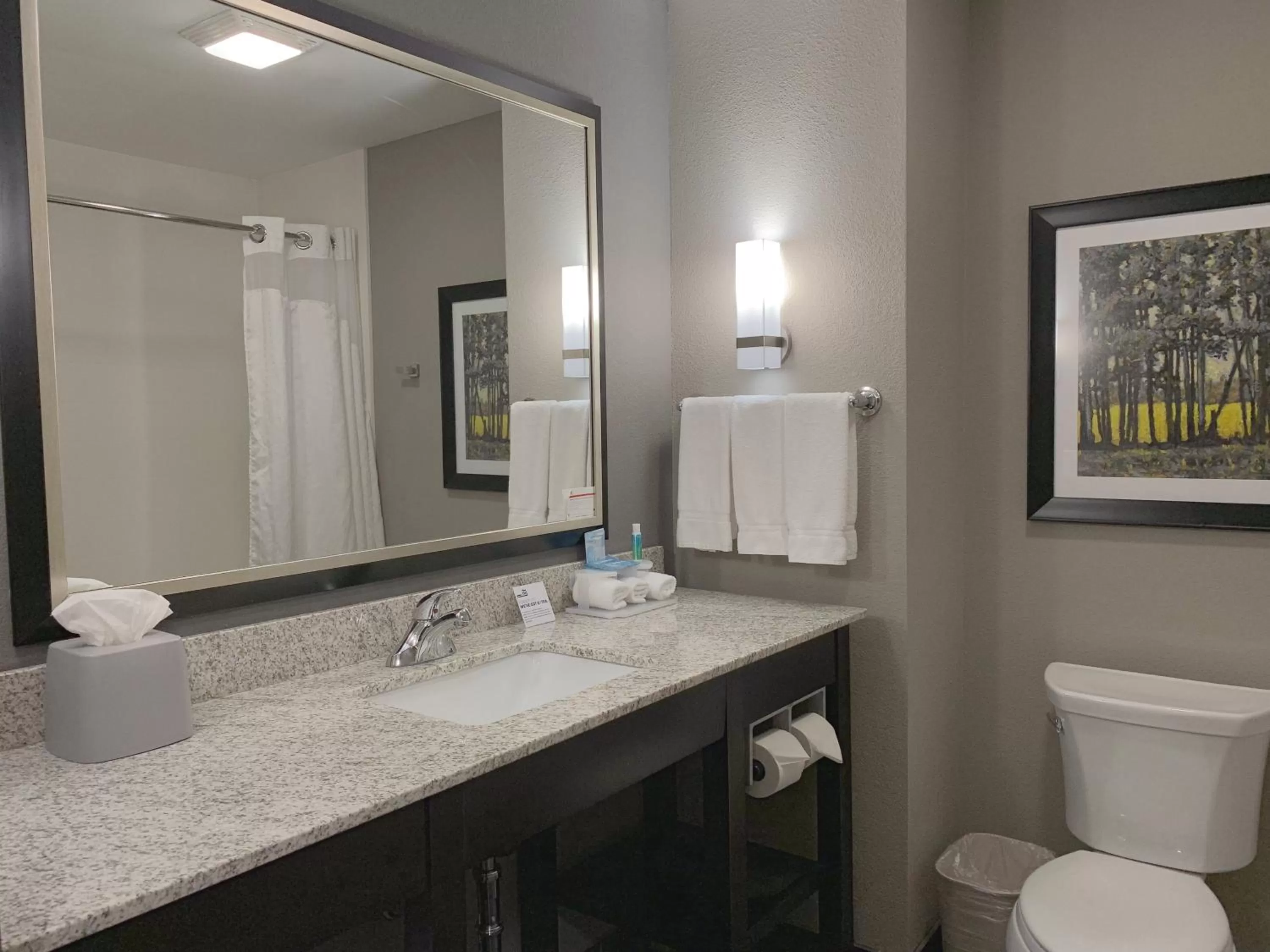 Bathroom in Holiday Inn Express and Suites Madison Central by IHG
