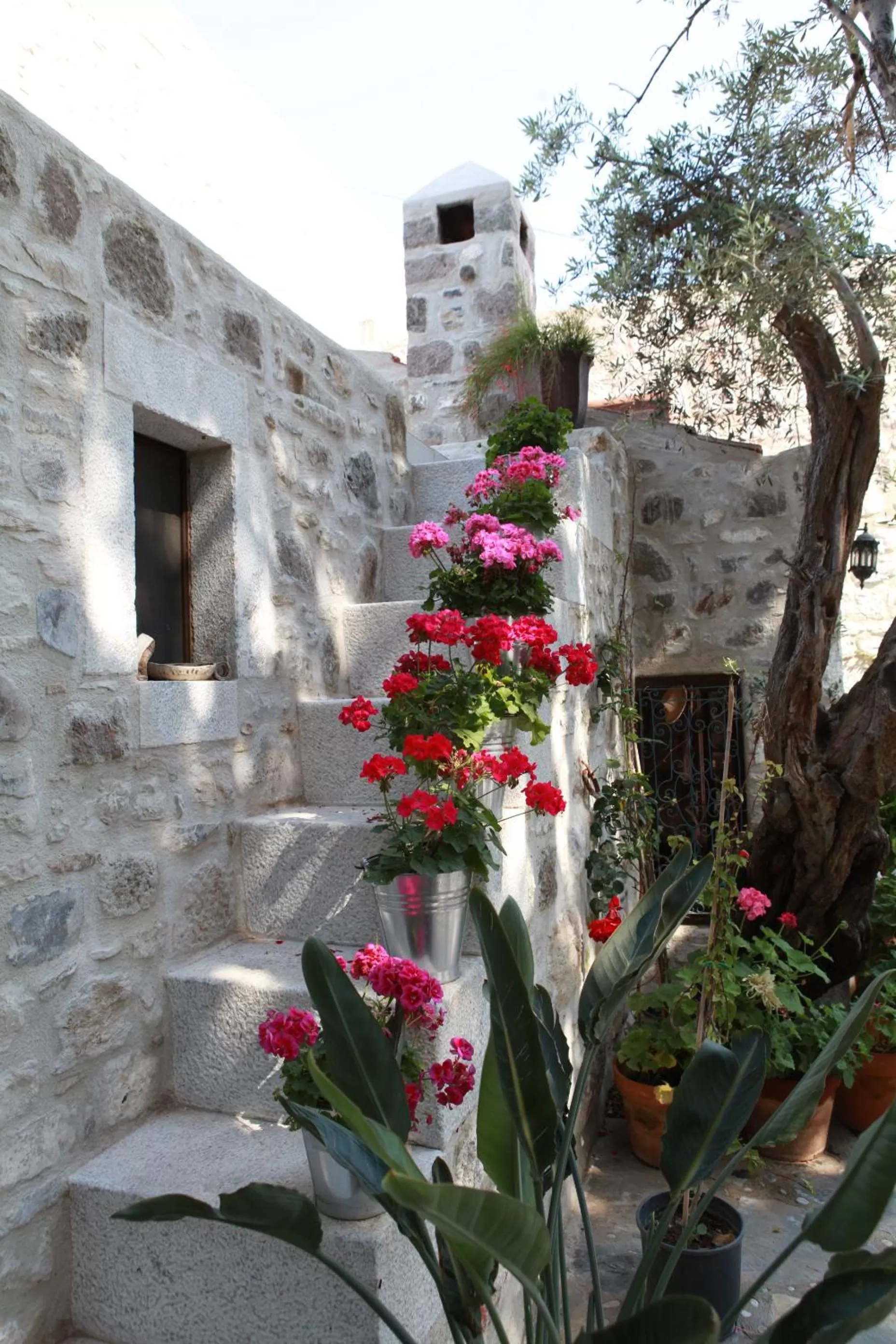 Garden, Patio/Outdoor Area in Ha La Bodrum