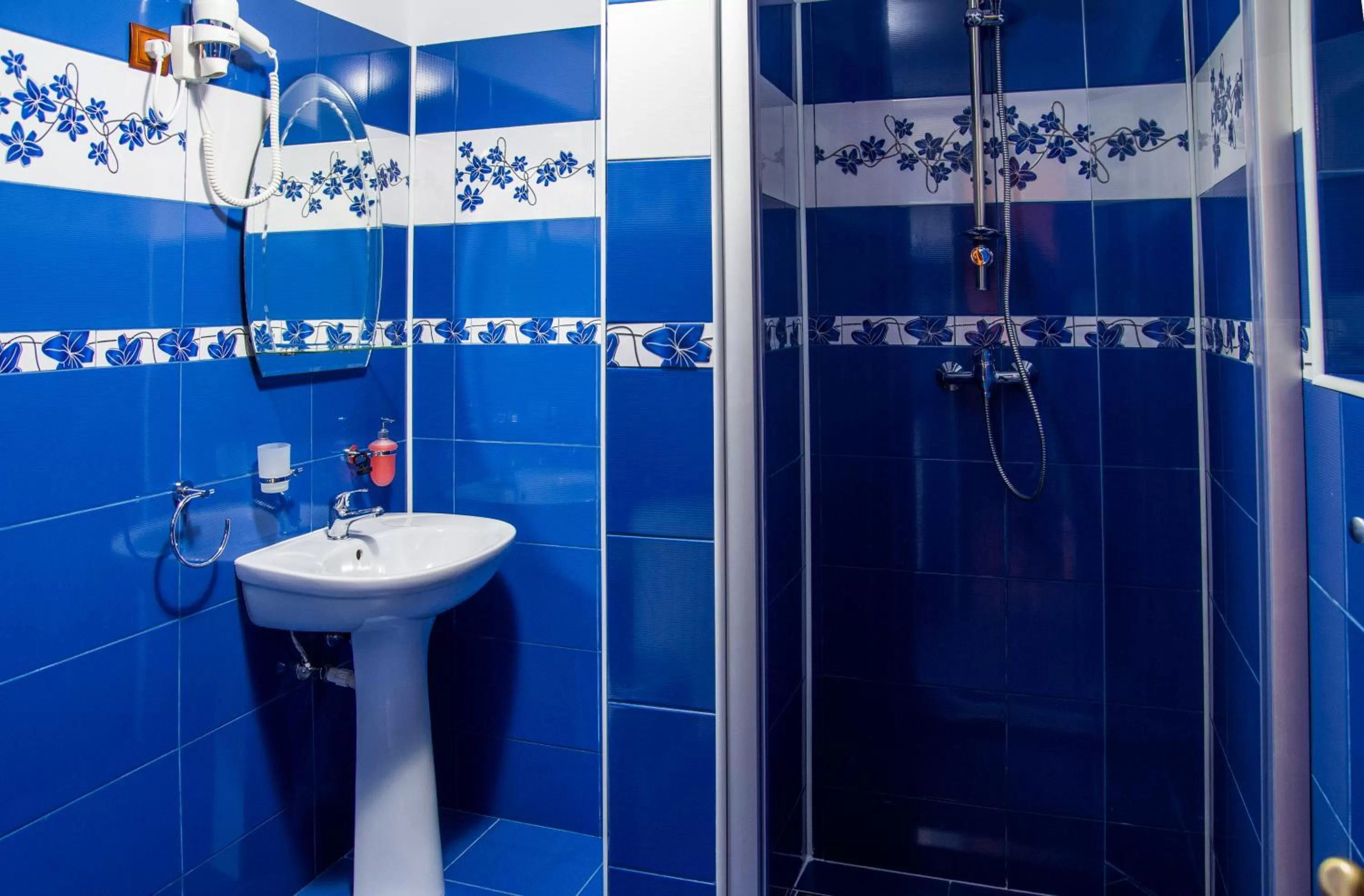 Shower in Pensiunea SilvAnka