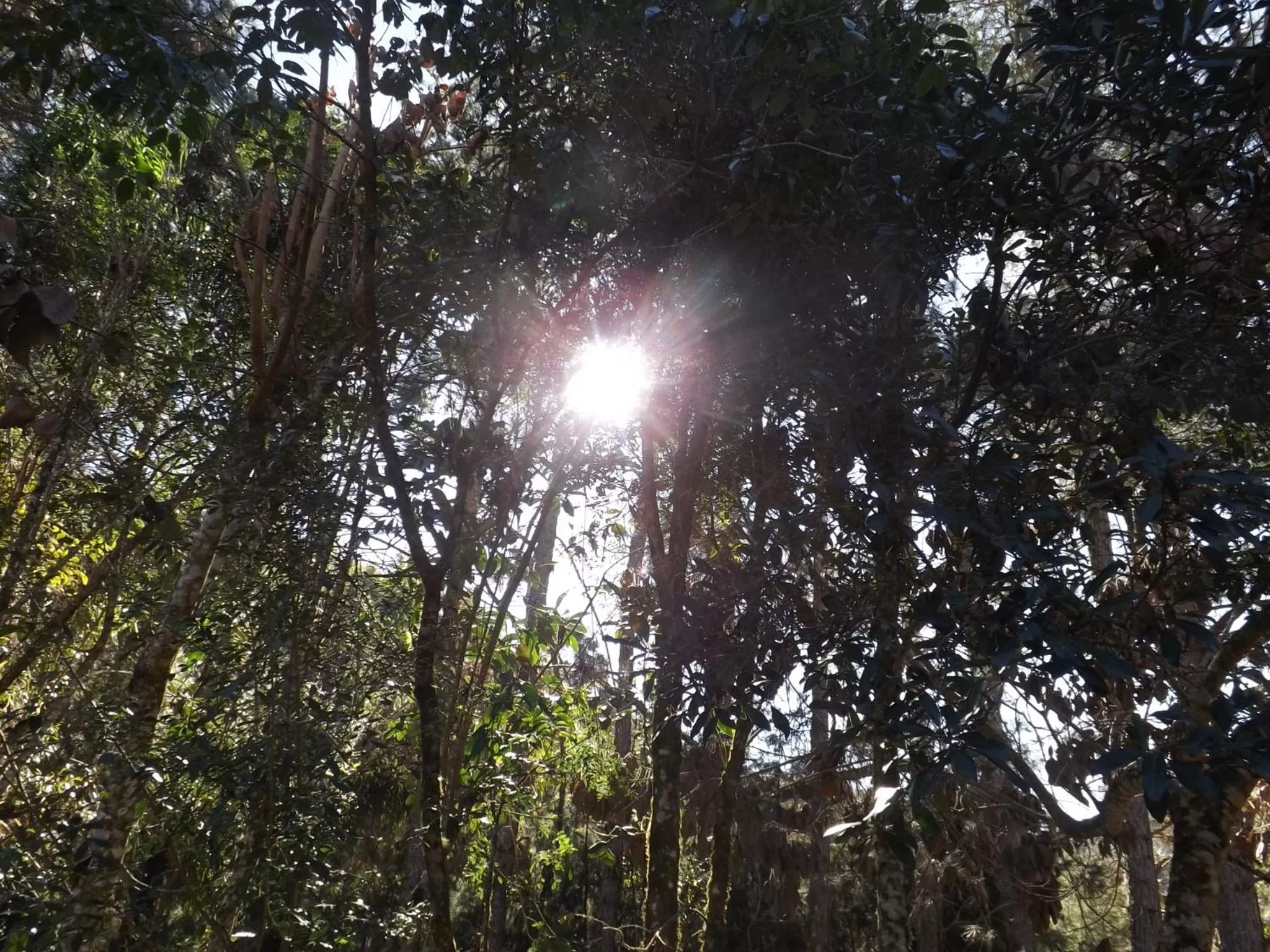 Winter in Pousada São Miguel