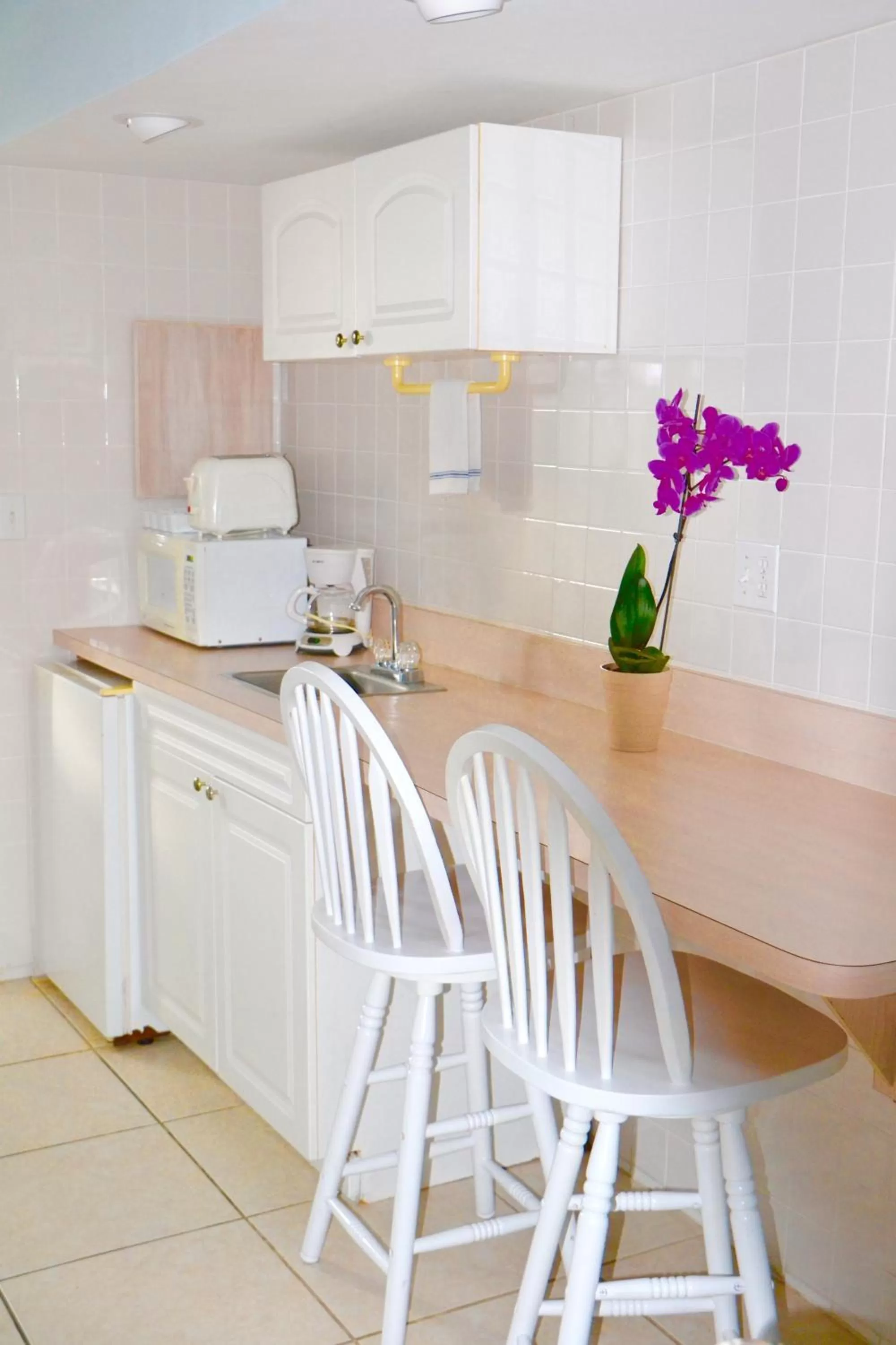 Kitchen or kitchenette in Sea Turtle Inn