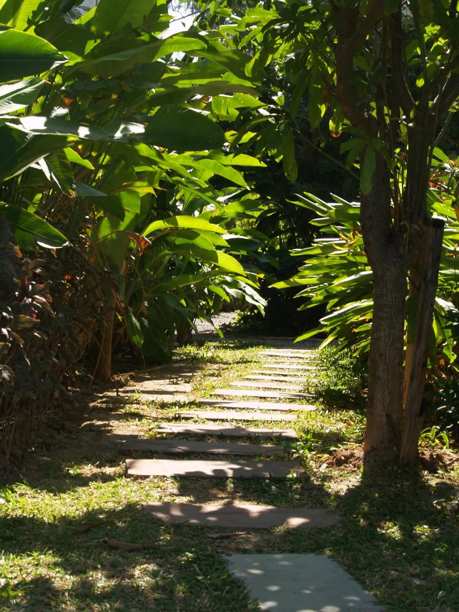 Day in Makmai Villa - Rayong