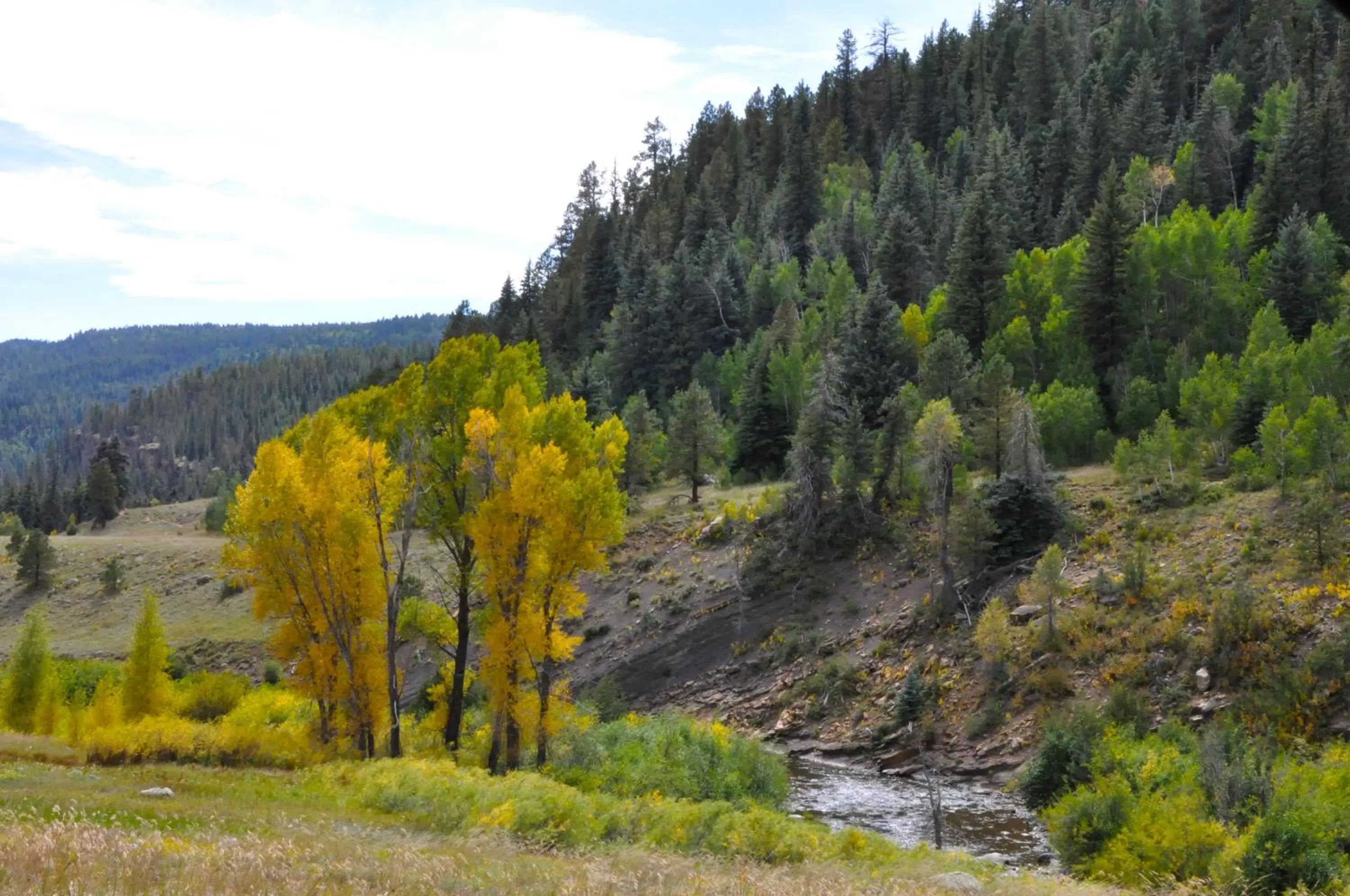 Mountain view in Alpine Inn