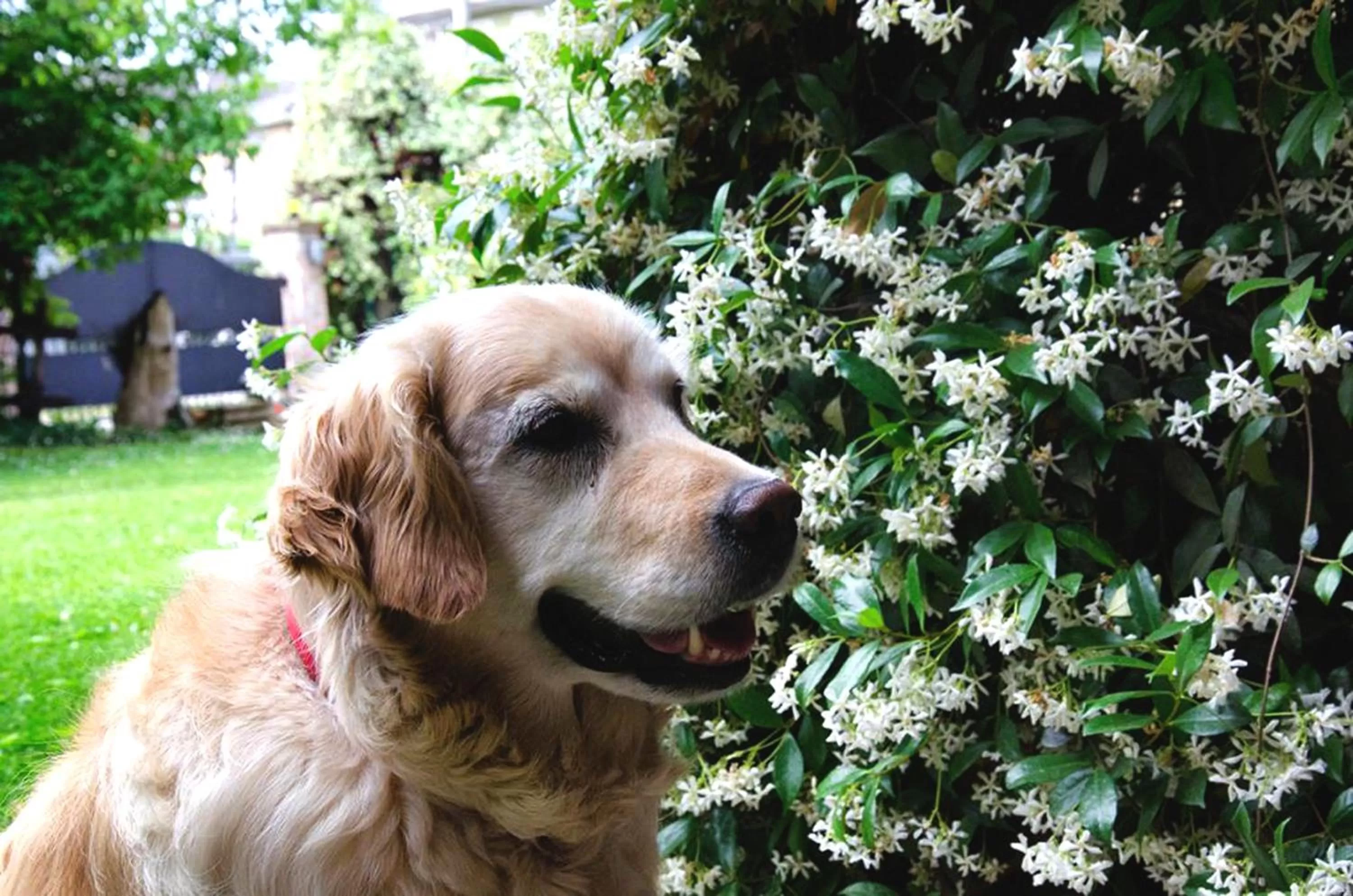 Bed in B&B Casa Camilla