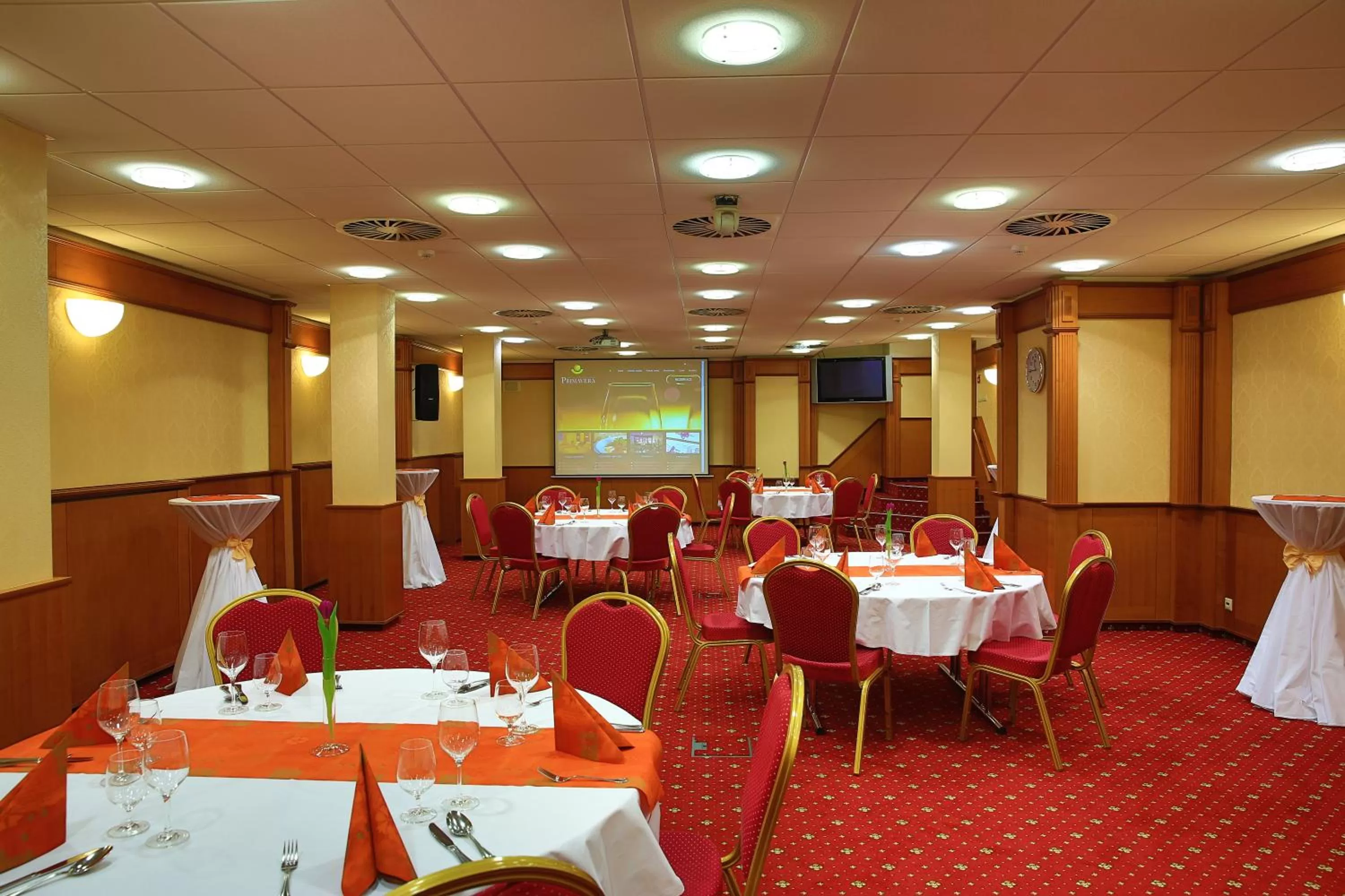 TV and multimedia in PRIMAVERA Hotel & Congress centre