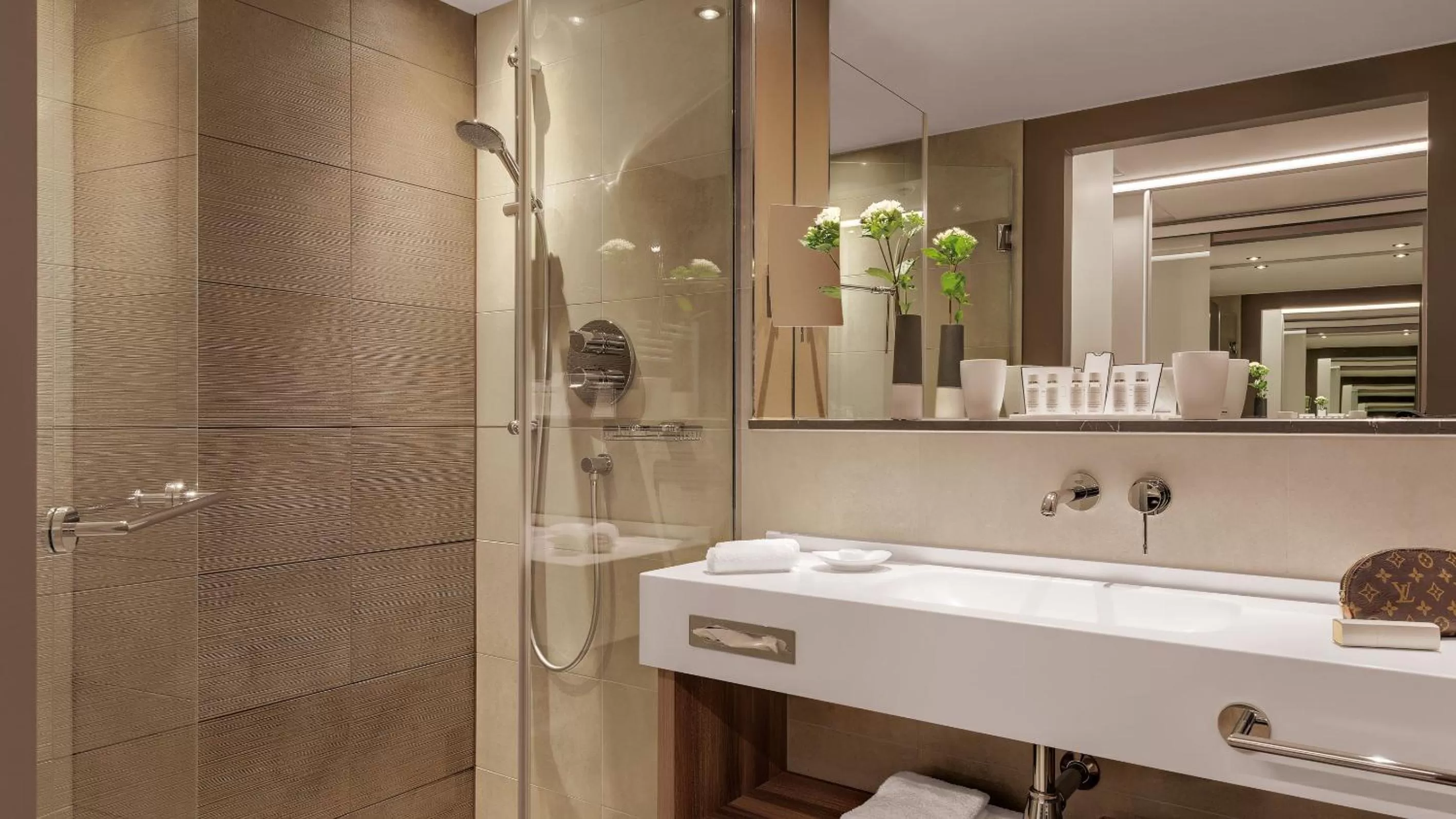 Shower in Hotel Stadt Lörrach