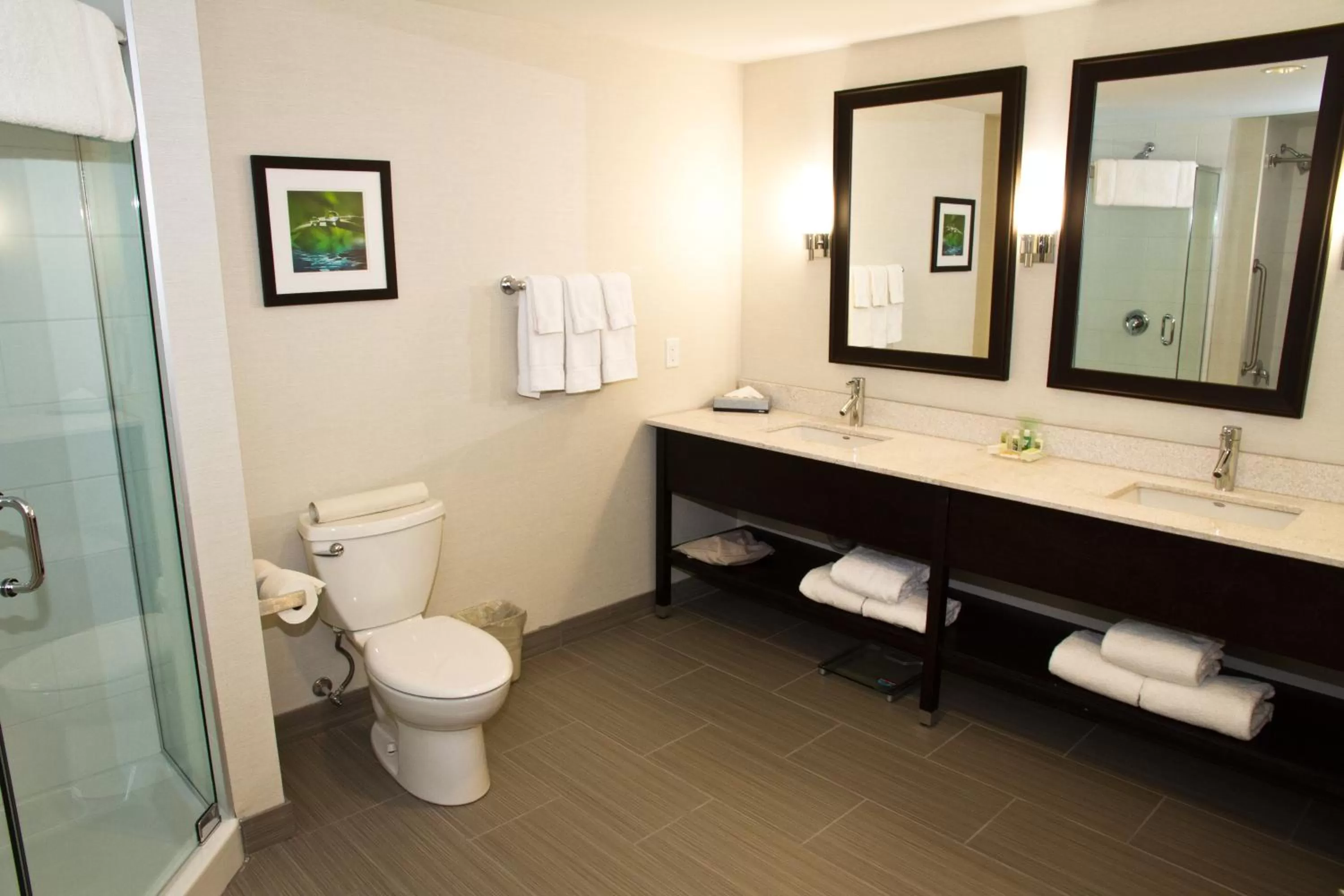 Bathroom in Holiday Inn Hotel & Suites Red Deer by IHG