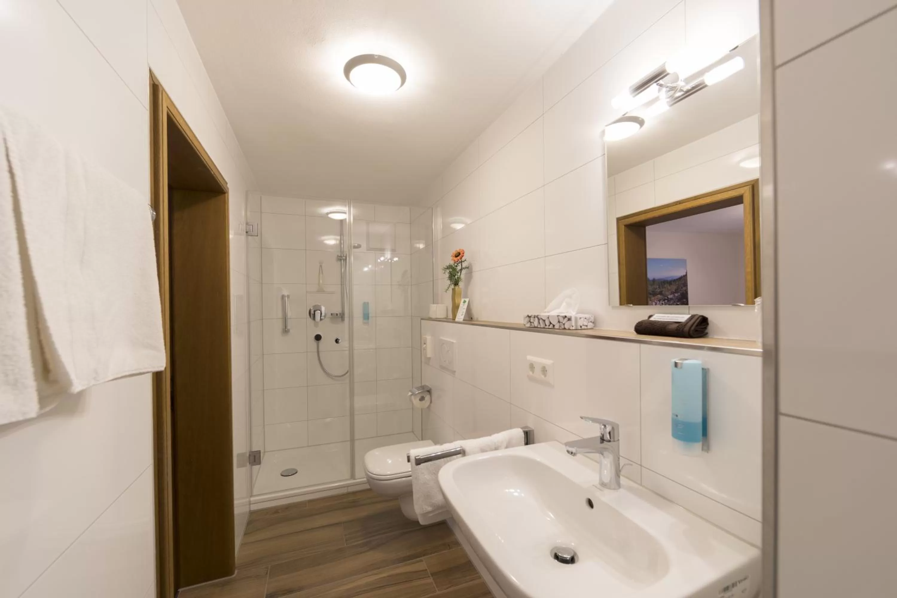 Shower, Bathroom in RelaxHotel Tannenhof