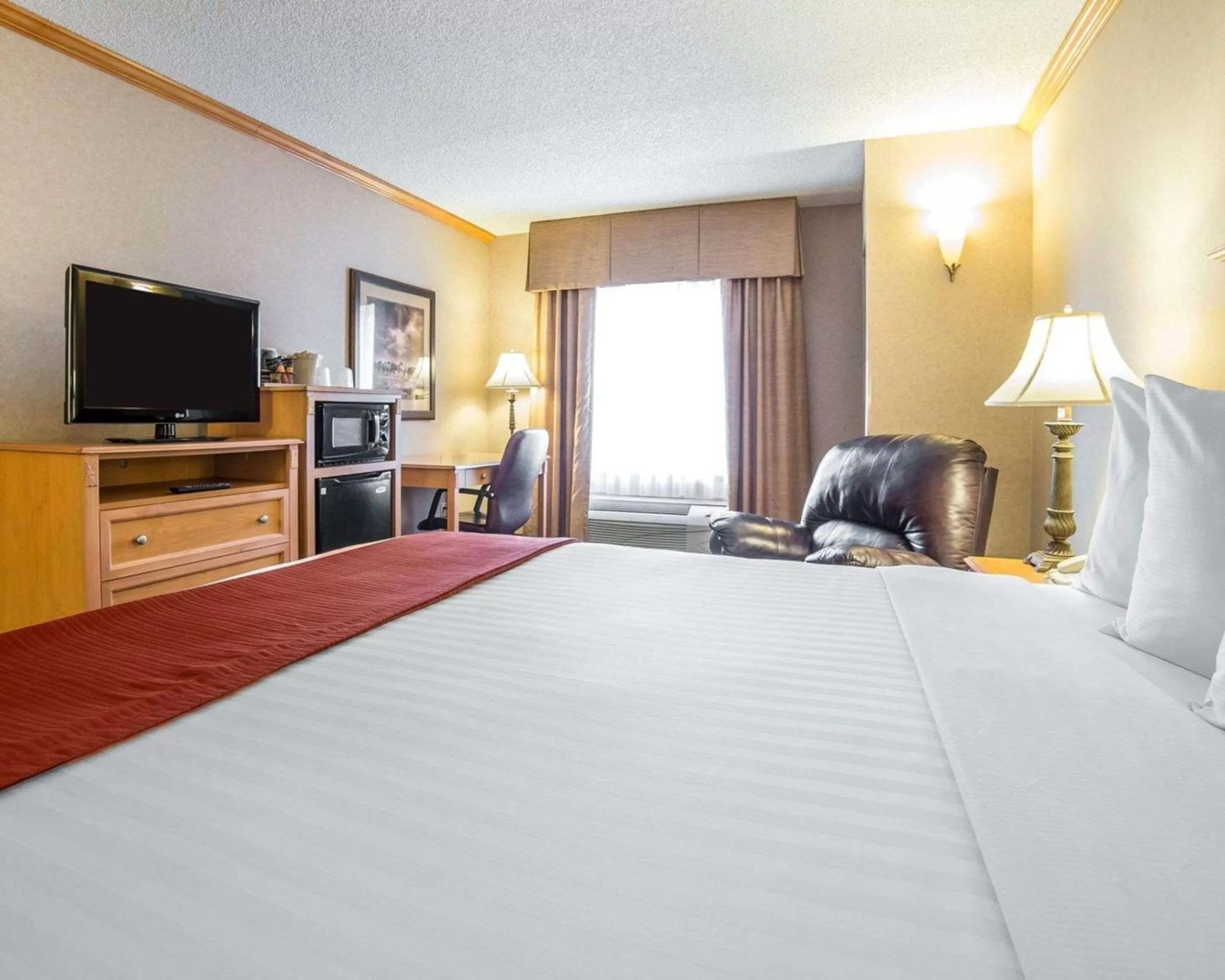 Photo of the whole room, Bed in Quality Inn & Suites Casper near Event Center