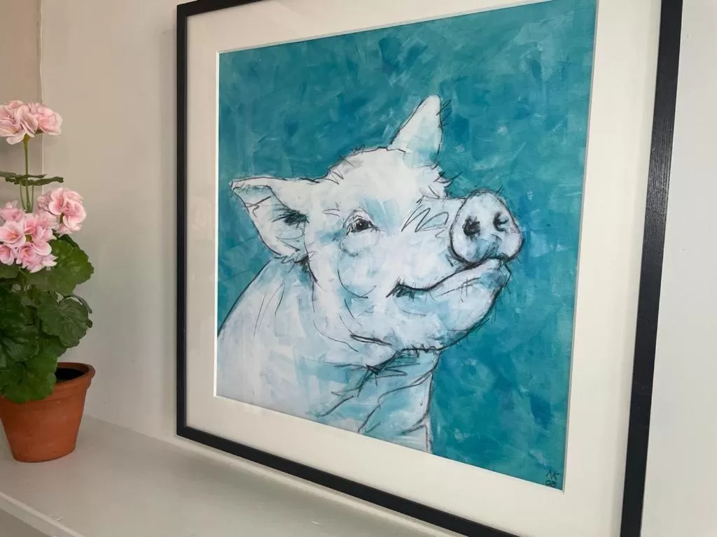 Animals in Poplars Farm