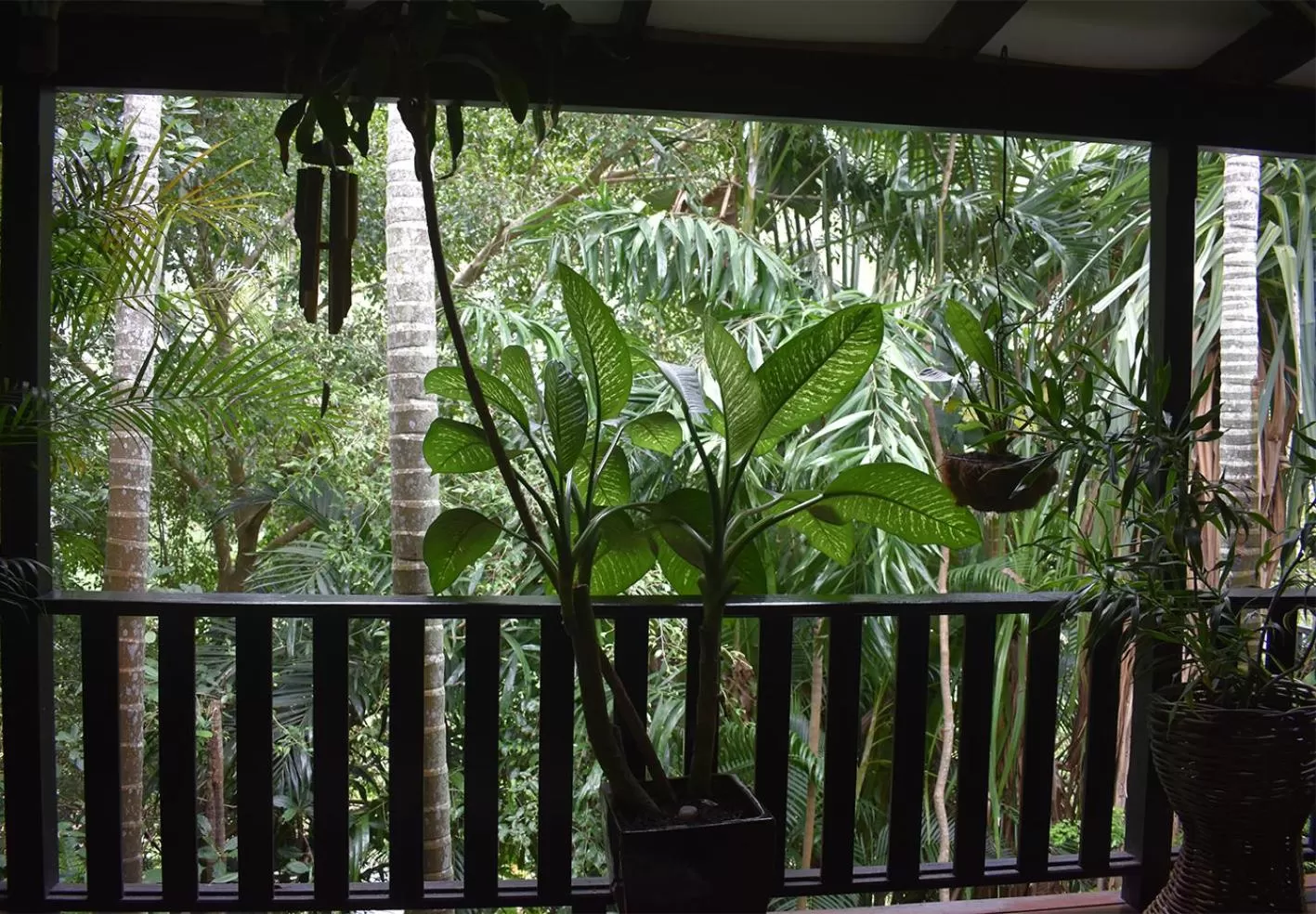Garden view in Oskar's Rain Forest Retreat