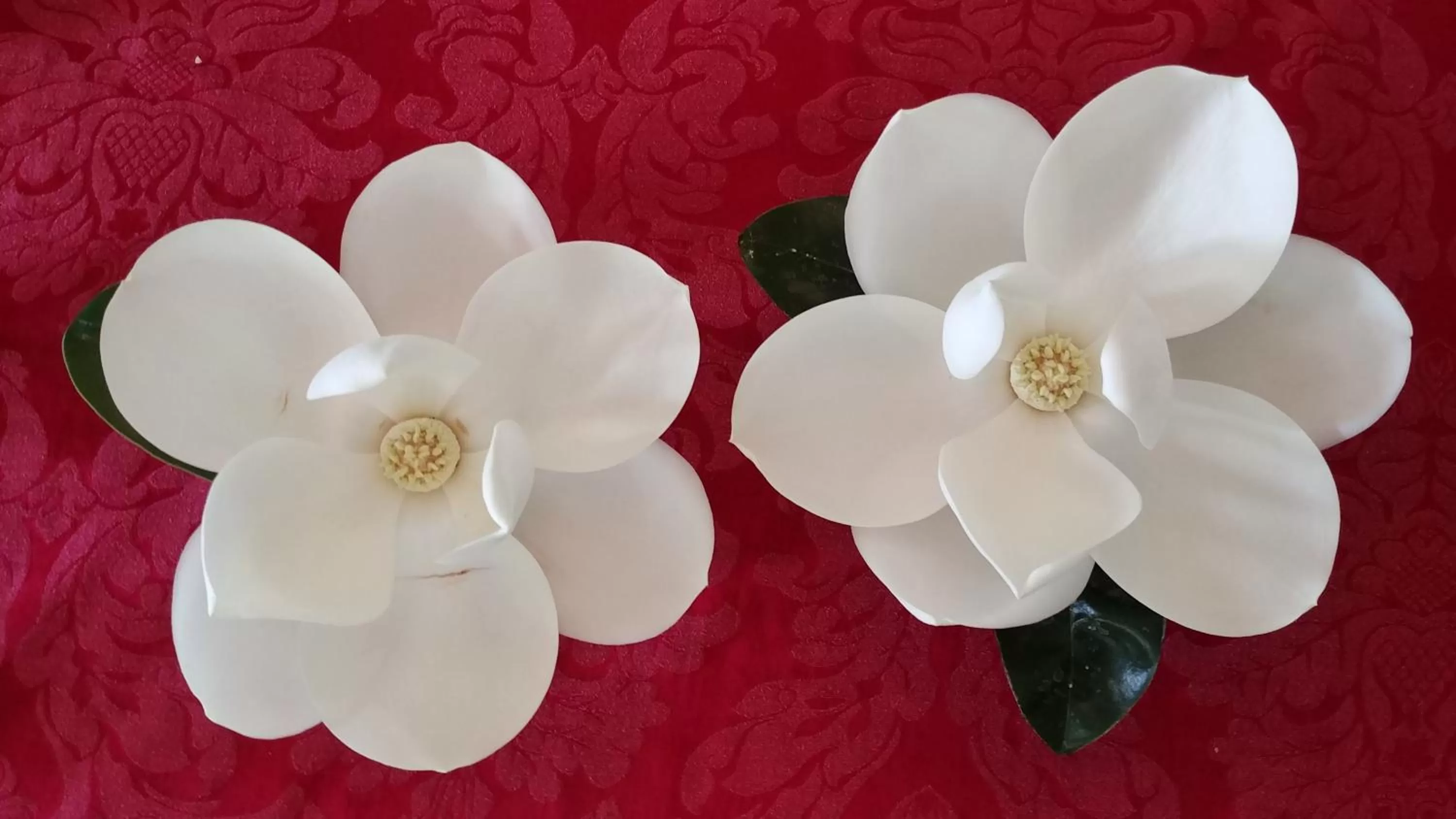 Garden in Fruits of Vienna B&B