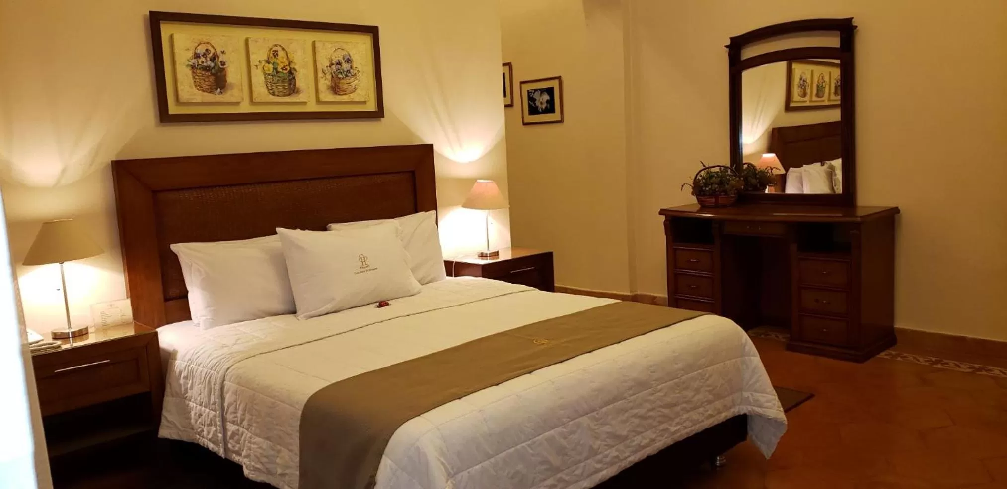 Double Room - single occupancy in Gran Hotel del Paraguay
