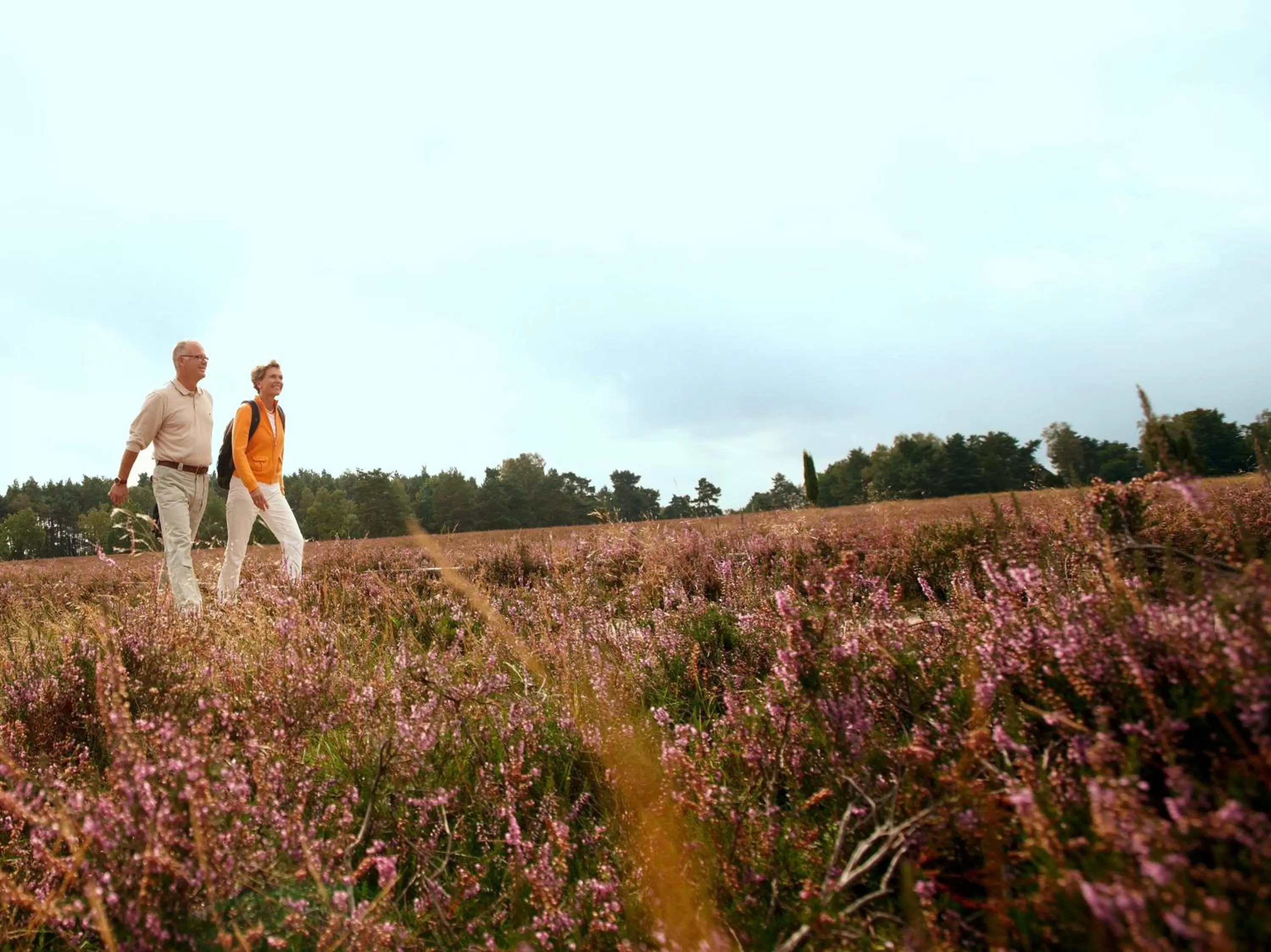 Hiking in Hotel Bockelmann