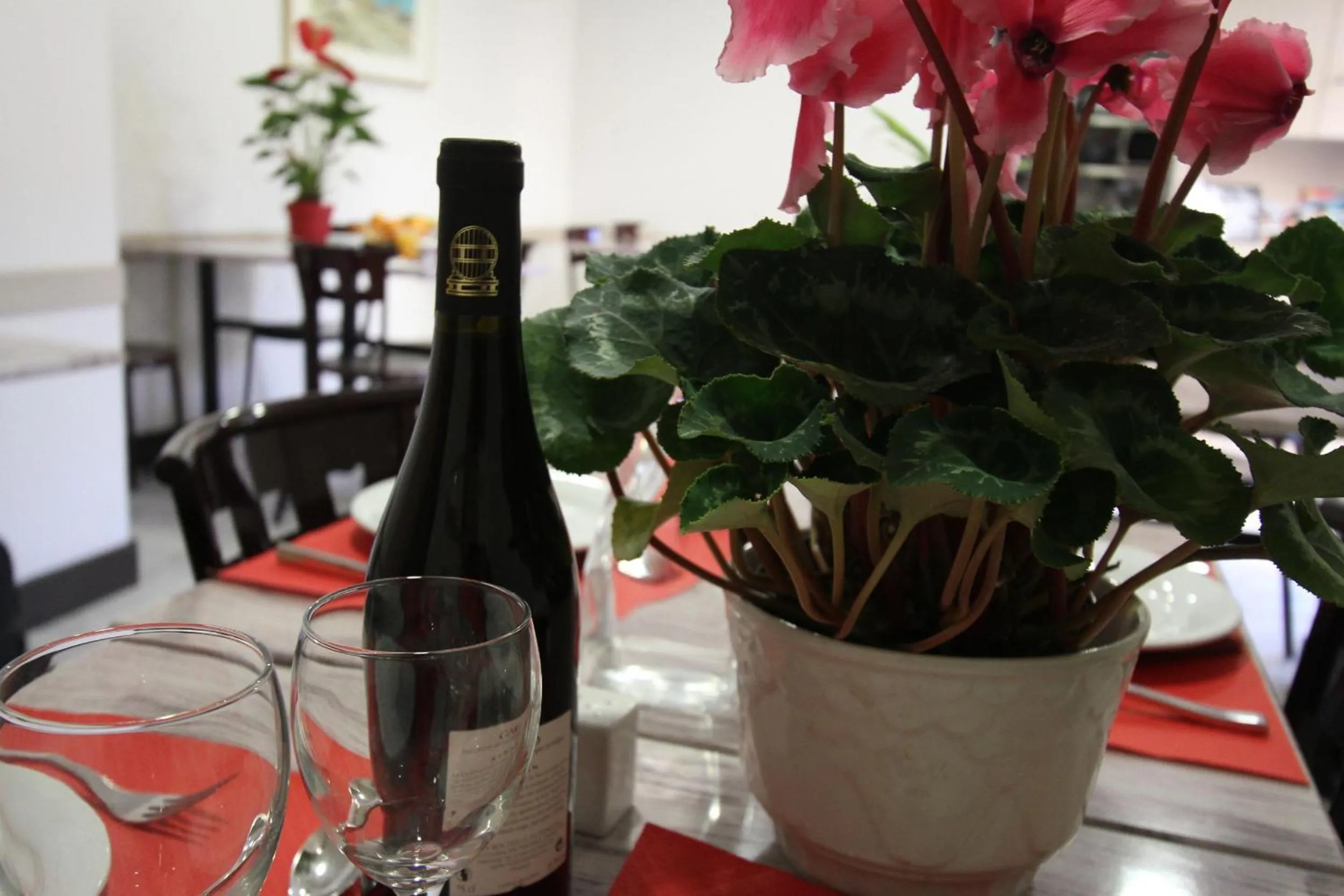 Lunch in Le Provençal