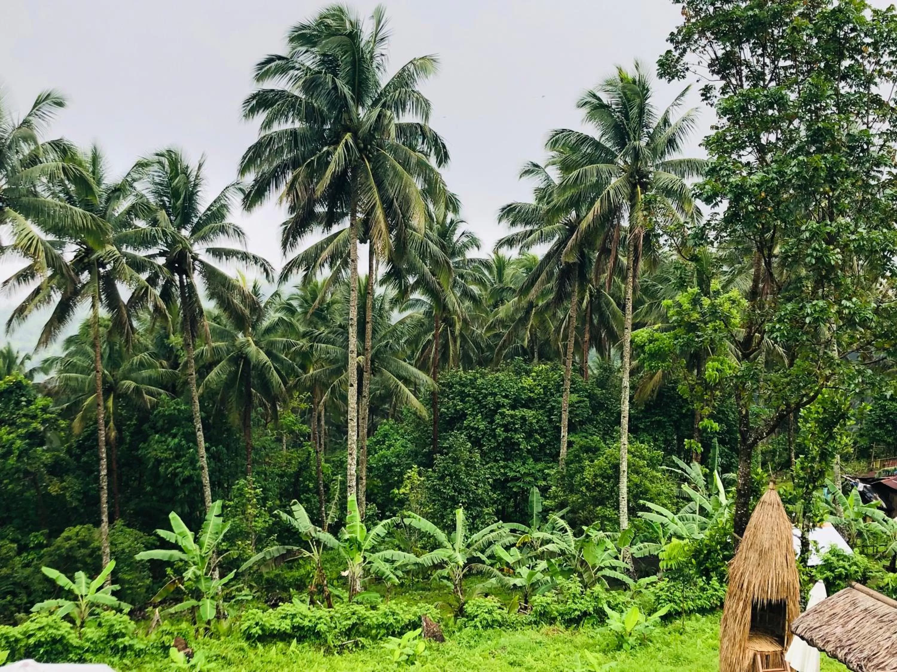 Natural landscape in Bintana sa Paraiso Binunsaran