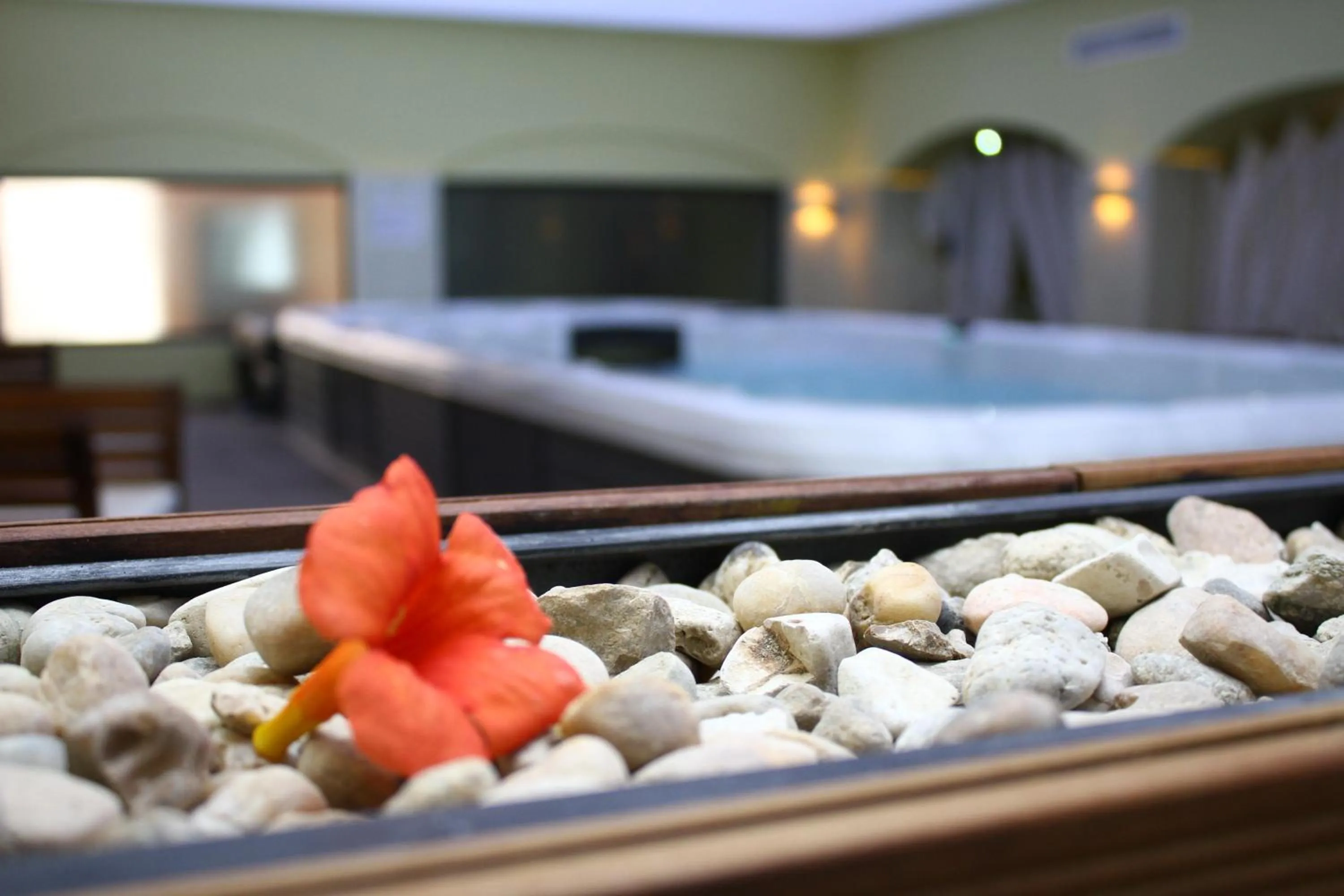 Spa and wellness centre/facilities in White Rock Castle Suite Hotel & SPA